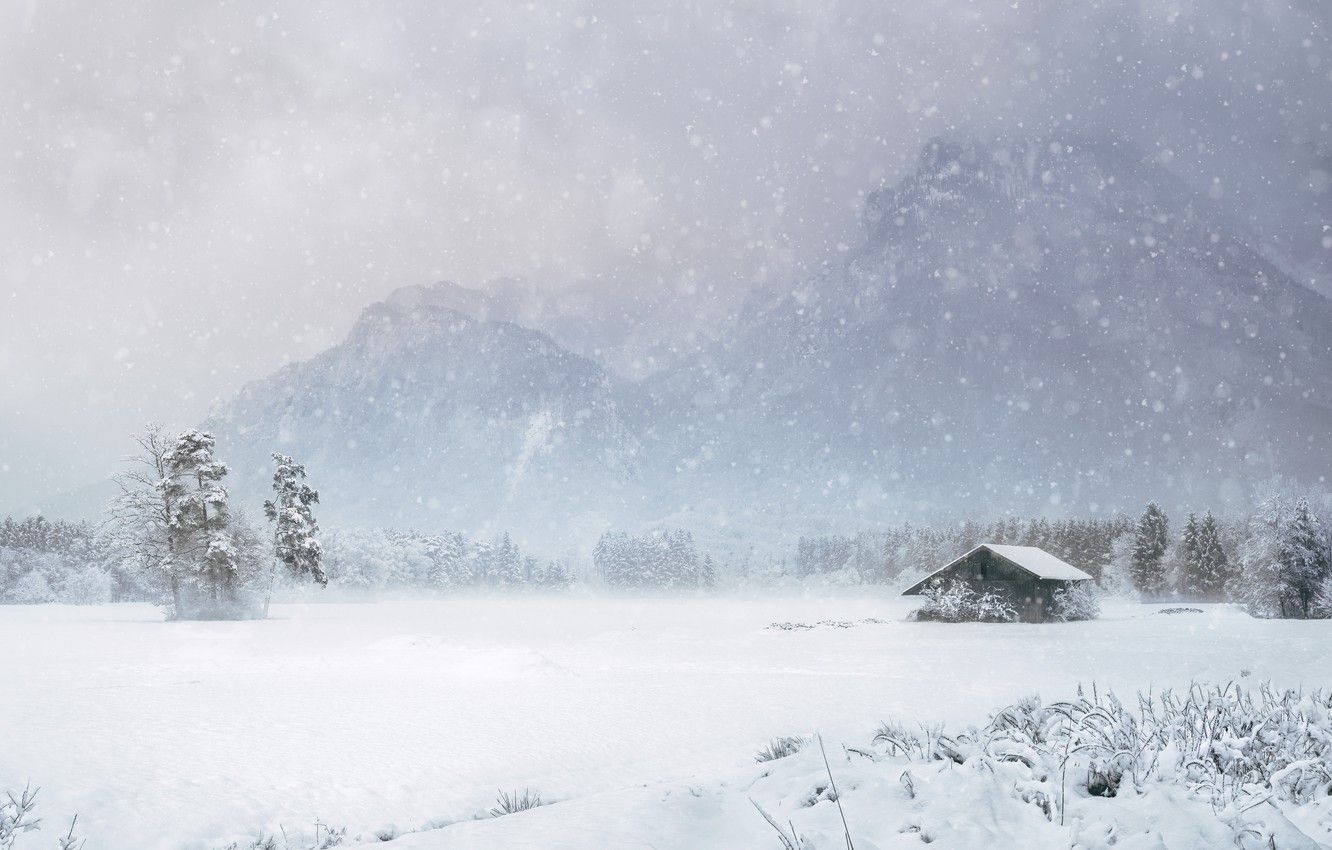 Wallpaper house, white, blizzard, trees, winter, mountains, snow