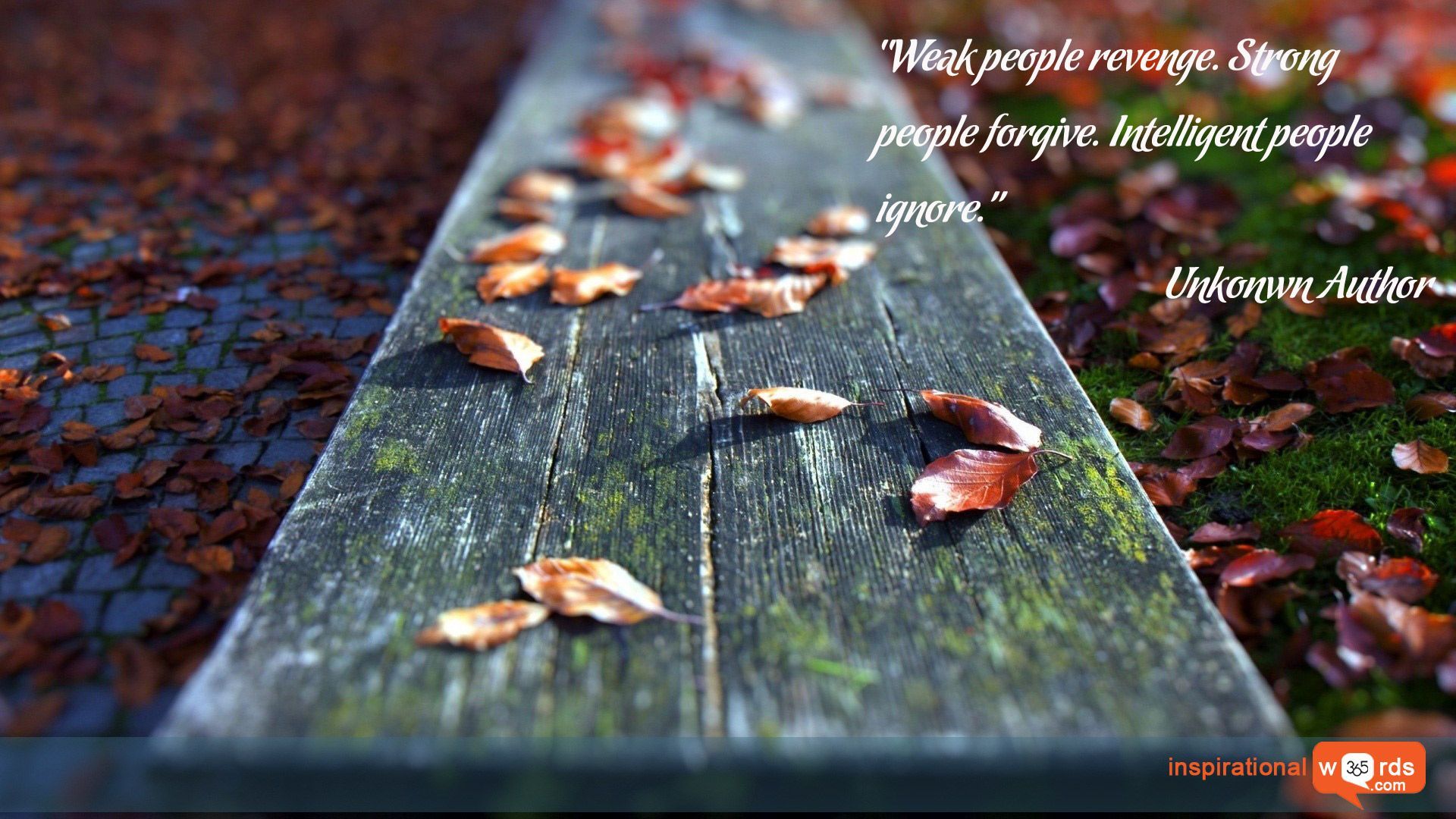 Inspirational Wallpaper Quote. Unknown Author “Weak people revenge