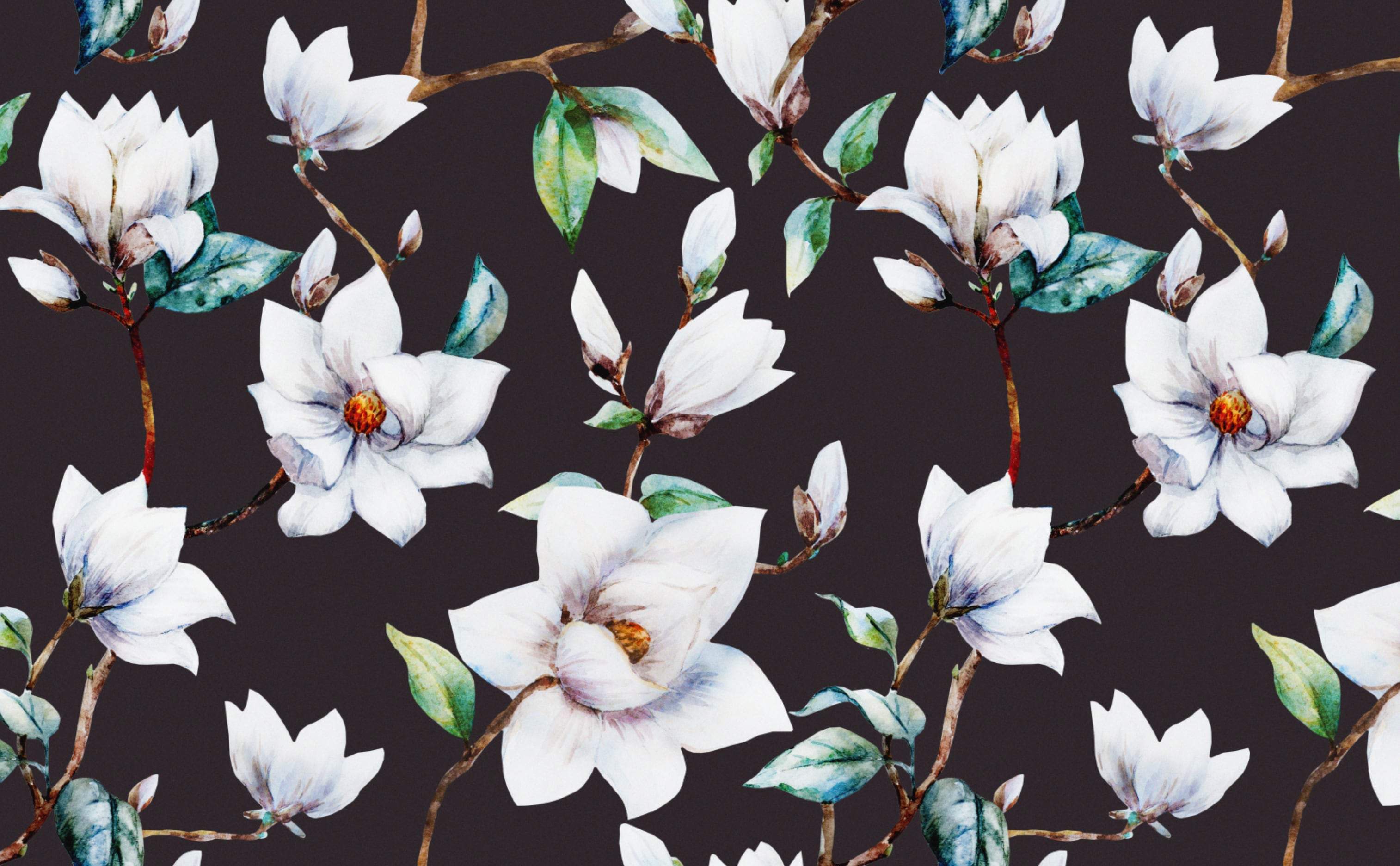 Magnolia Blossoms Wallpaper for Walls