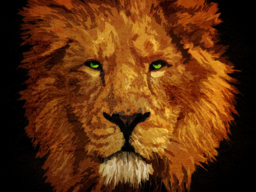 Lion Eyes Desktop Wallpaper 20233