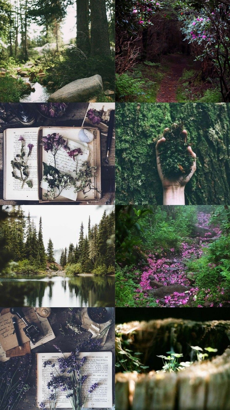 Aesthetic Collage Landscape Tumblr Wallpapers - Wallpaper Cave