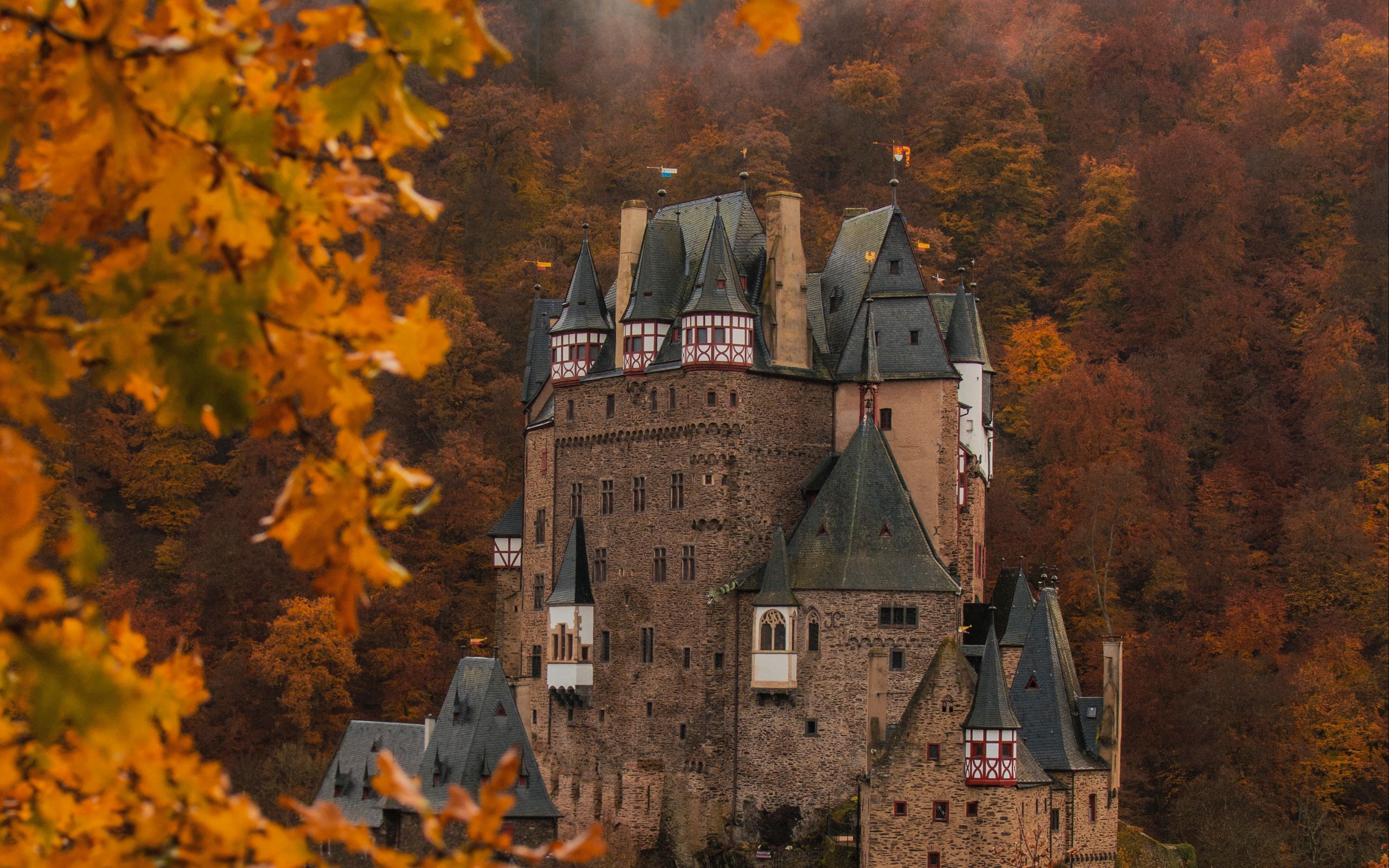 Download wallpaper 2560x1600 castle, autumn, architecture, germany, branches, leaves widescreen 16:10 HD background