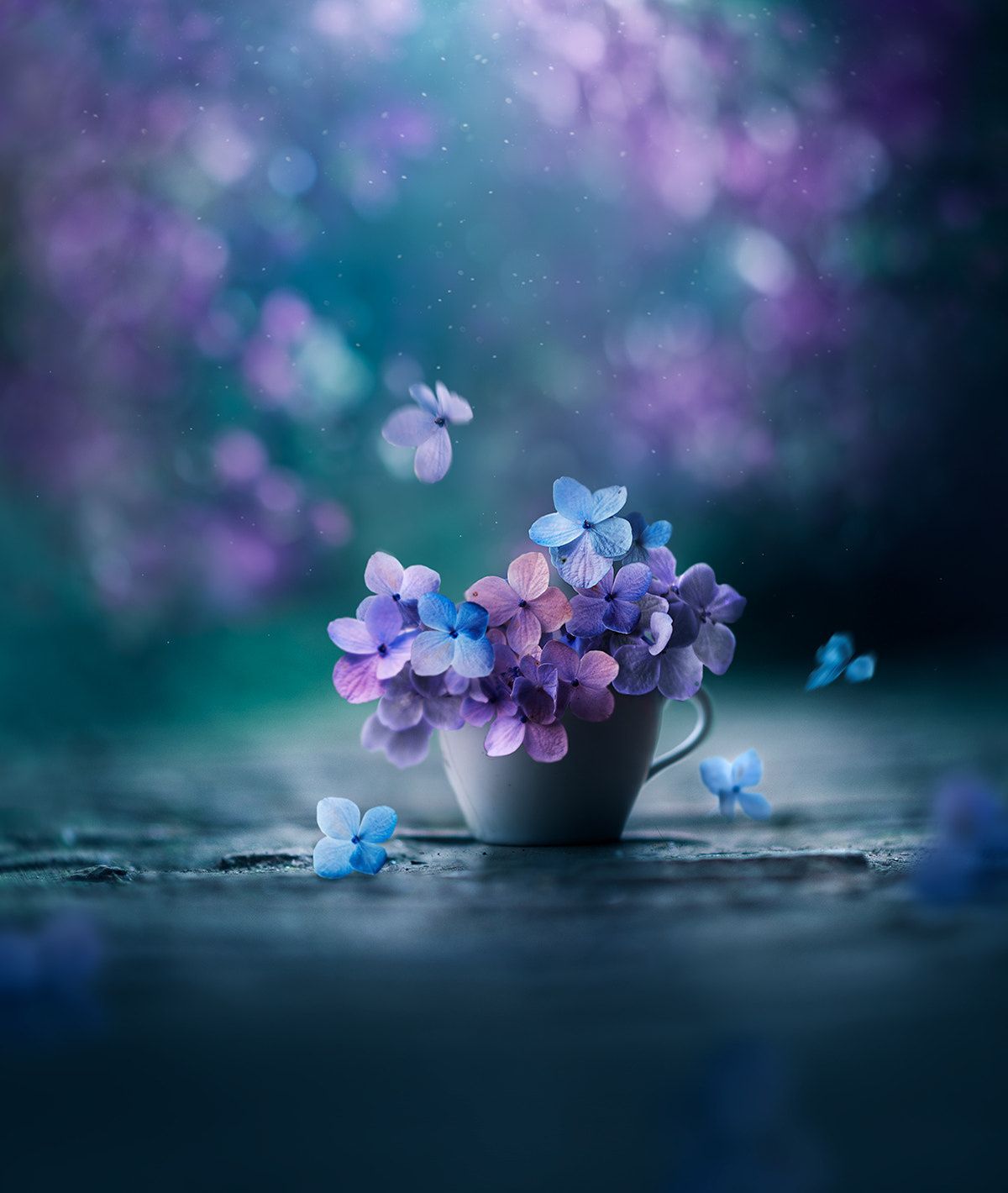 Magical flower photography by Ashraful Arefin Arefin