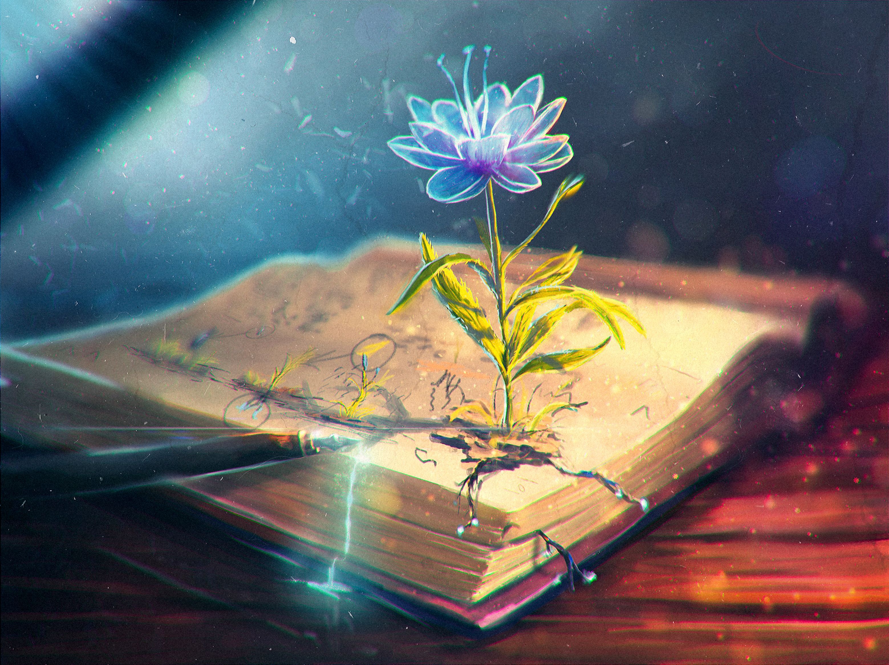 magic flower in blooming at old book digital art wallpaper