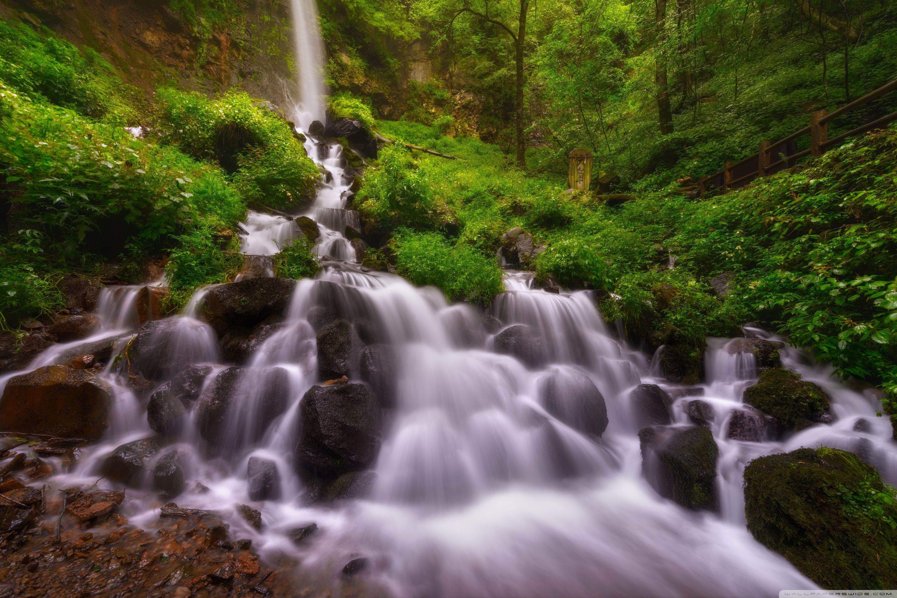Forest Waterfall, Summer Ultra HD Desktop Backgrounds Wallpapers for