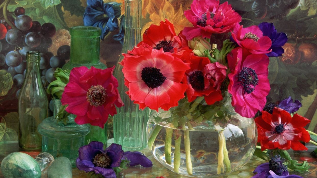Flowers anemones flower wallpaperx1080