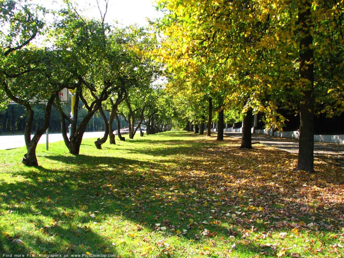 Nature Desktop Wallpaper pics