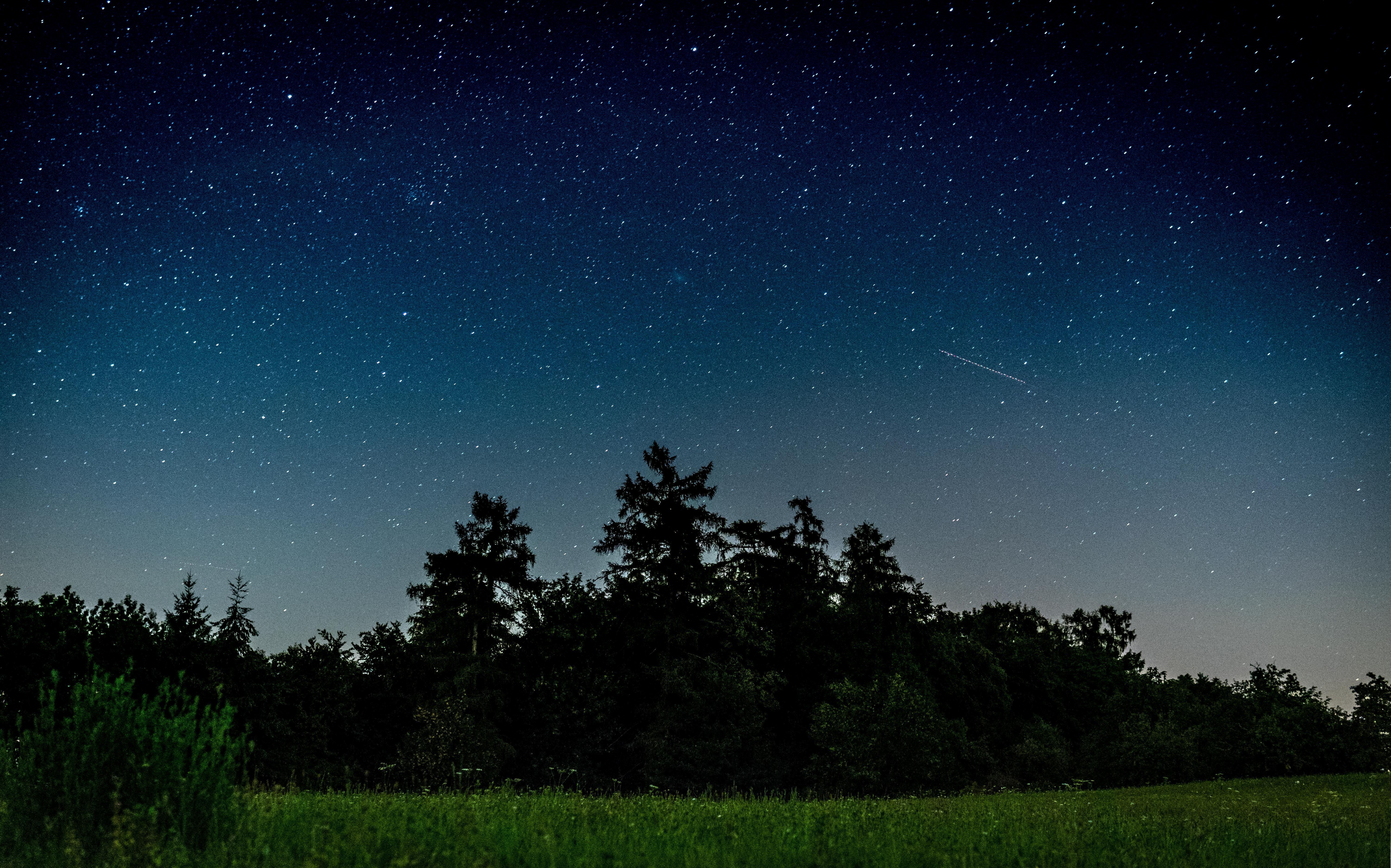 Download wallpaper 6000x3745 starry sky, trees, night, field HD