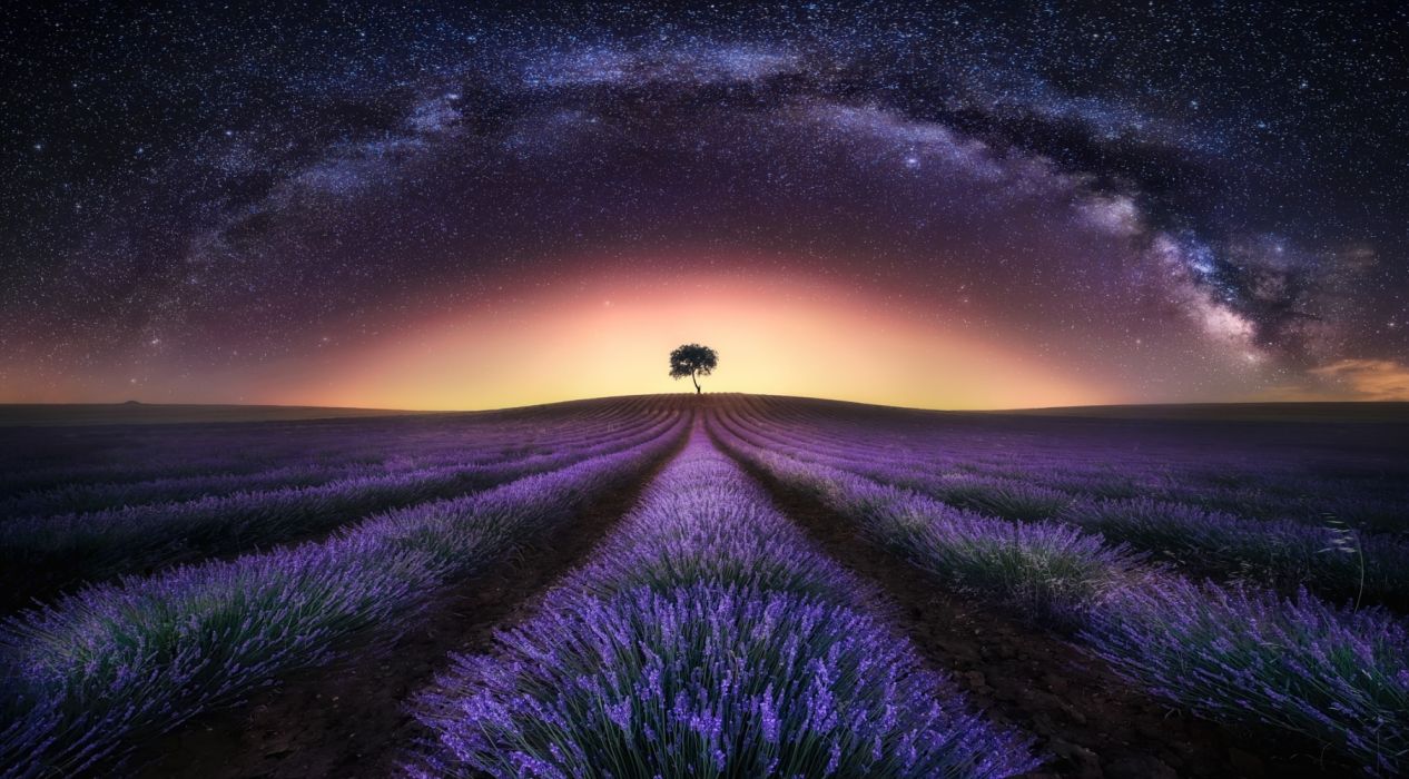 Night field stars the milky way the sky lavender wallpaper