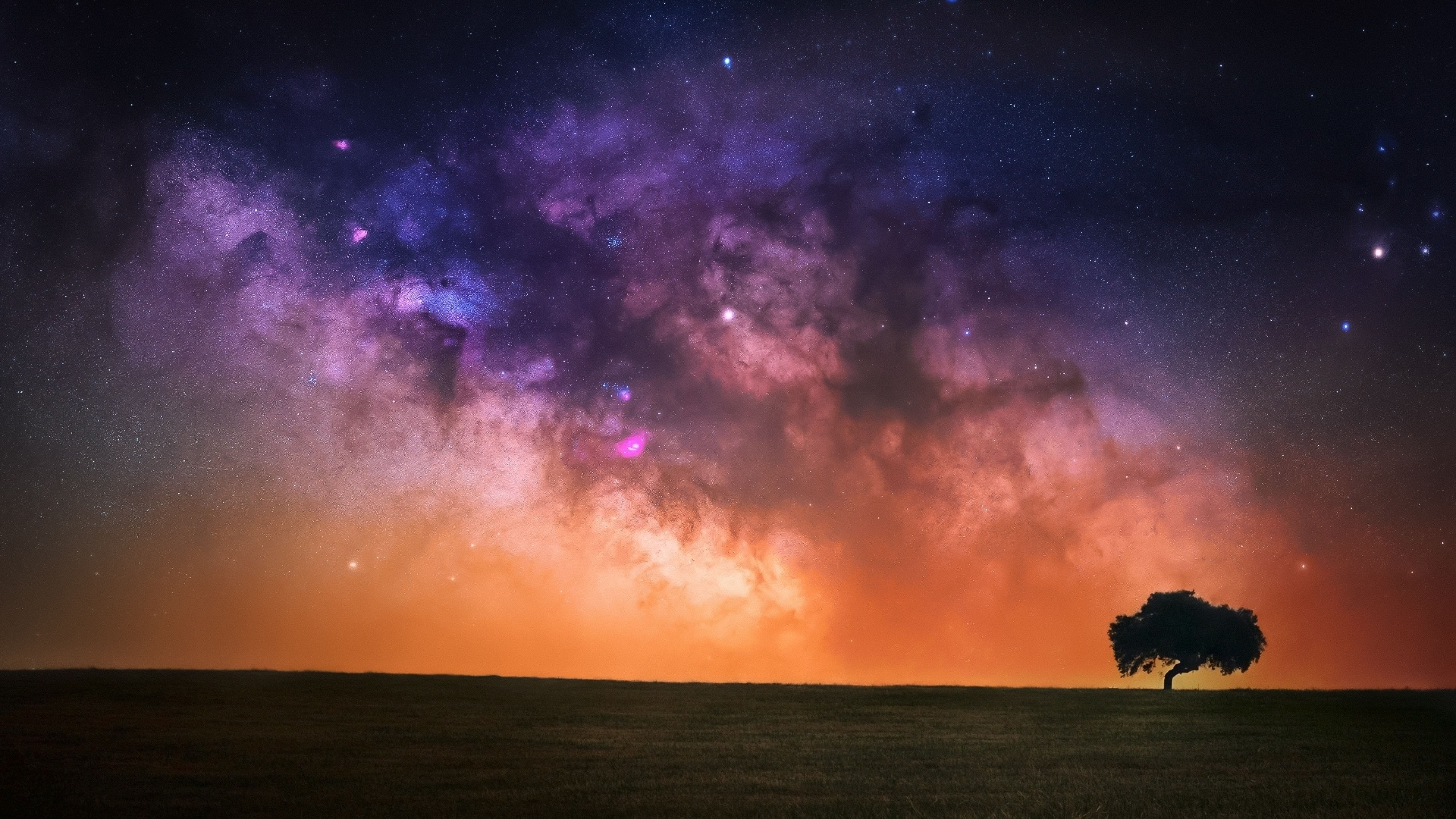 Starry Sky In Open Field 5K Wallpaper, HD Nature 4K