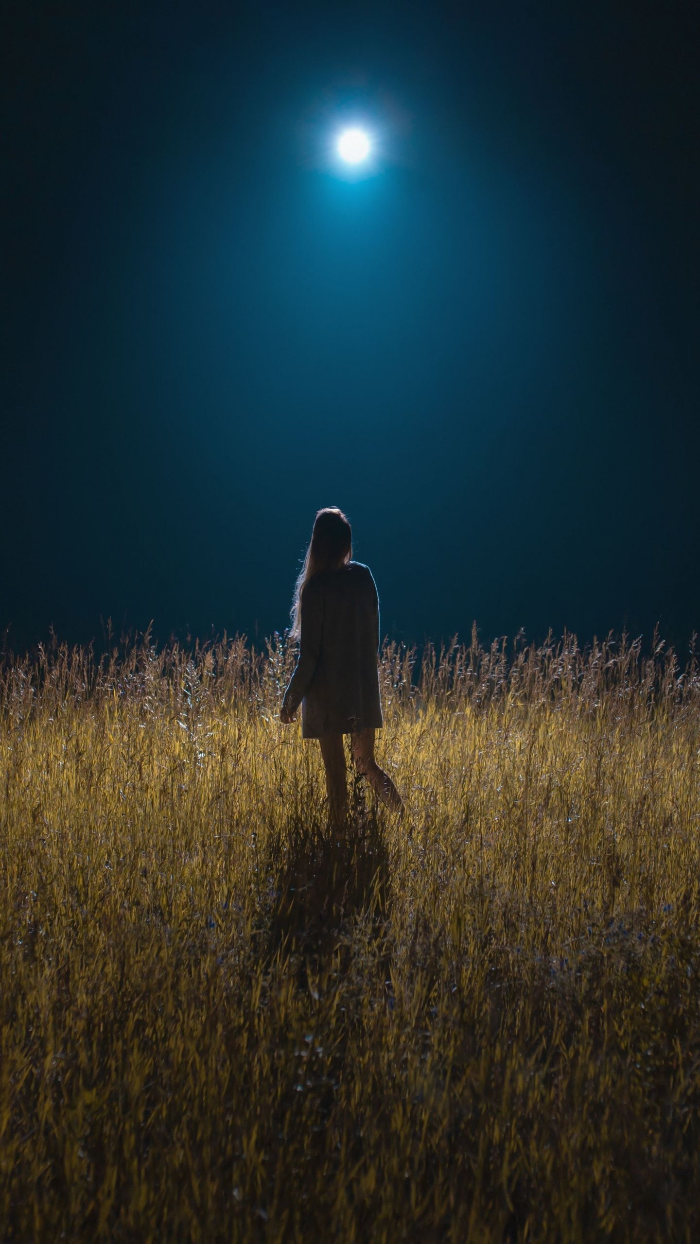Girl on field, silhouette, night wallpaper. Field