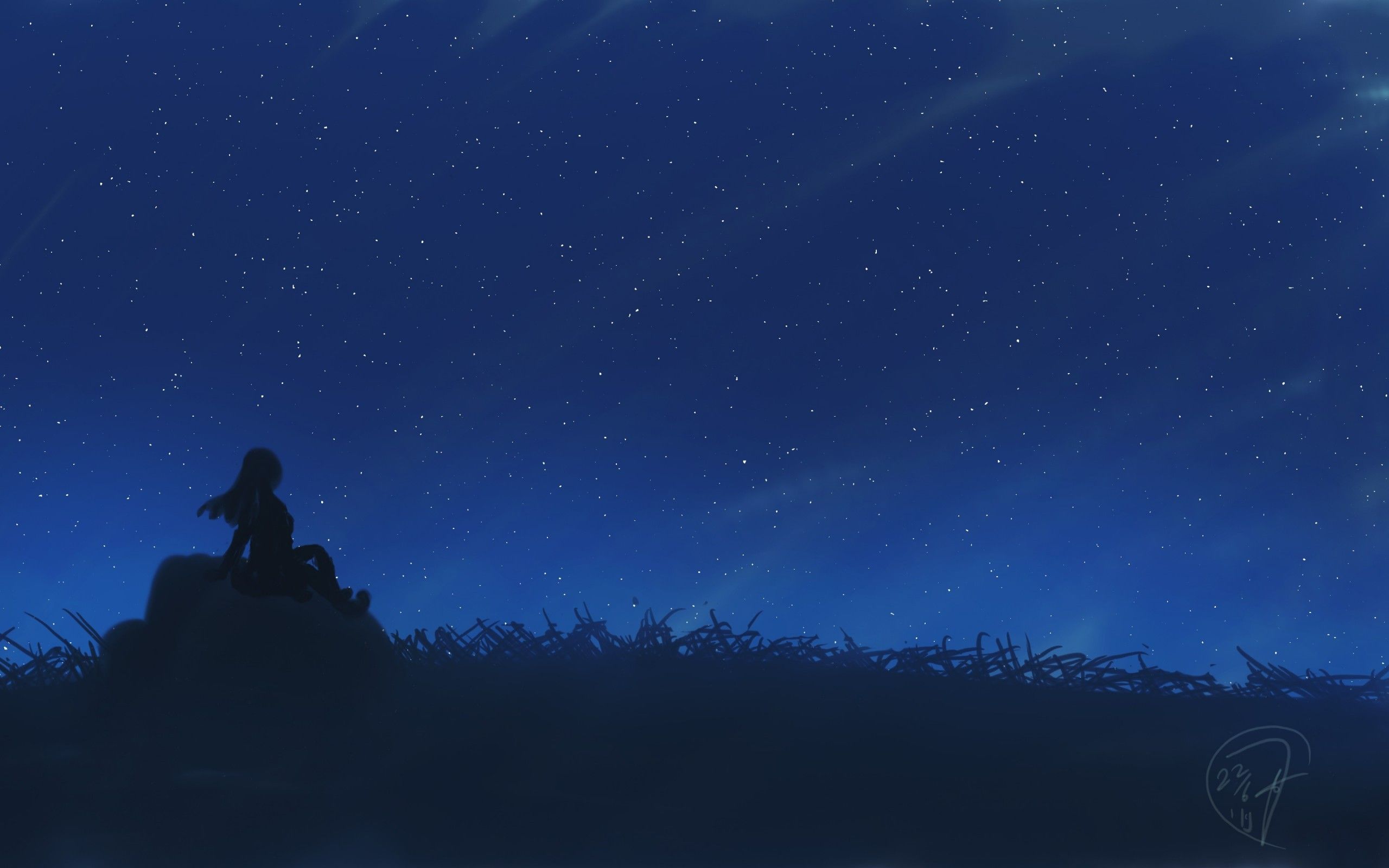 Download 2560x1600 Anime Landscape, Girl, Starry Sky, Night