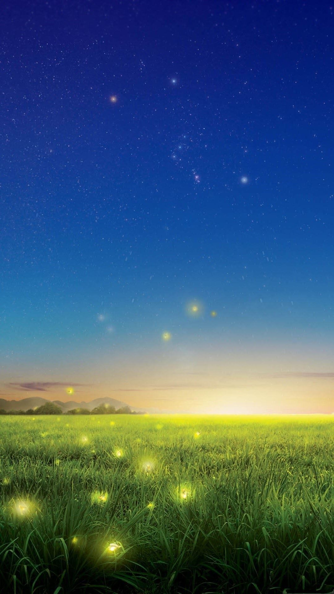 Wonder Night Glowworm Flying Lawn Field iPhone 8 Wallpaper Free