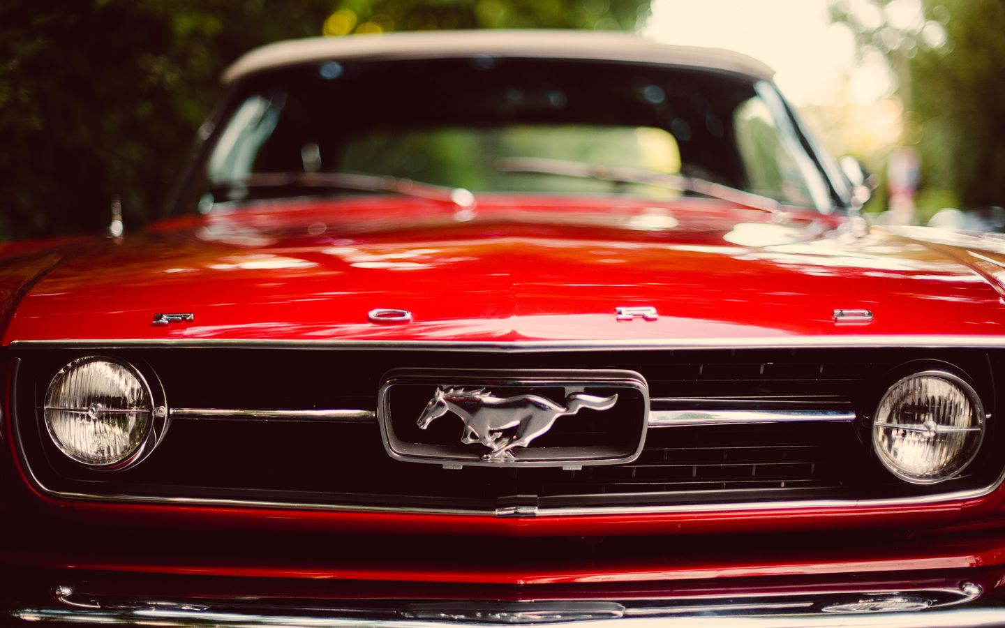 mustang, red, red, ford, bokeh, the front, classic, ford