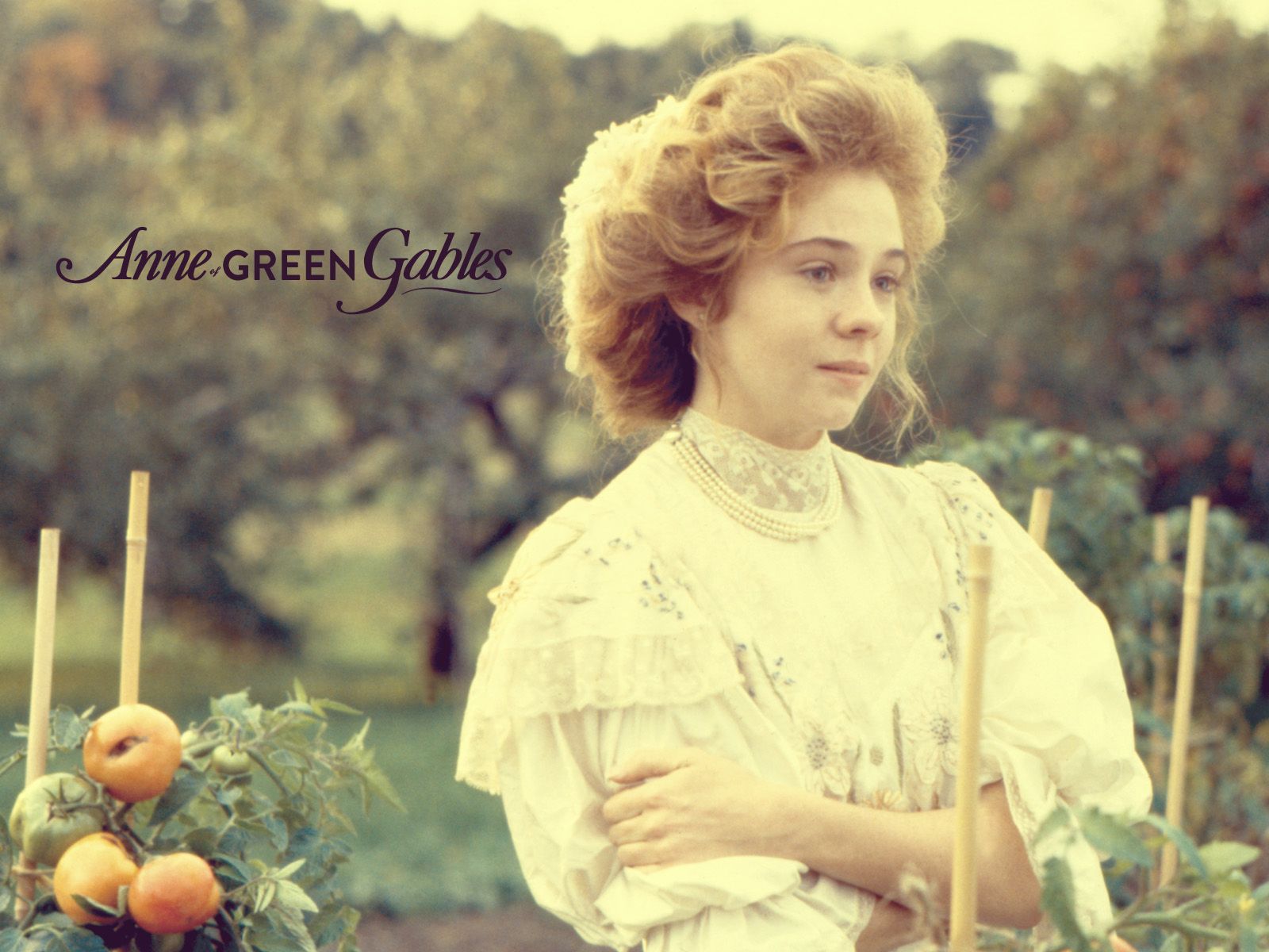 Gallery:Anne Of Green Gables: The Sequel Wallpaper