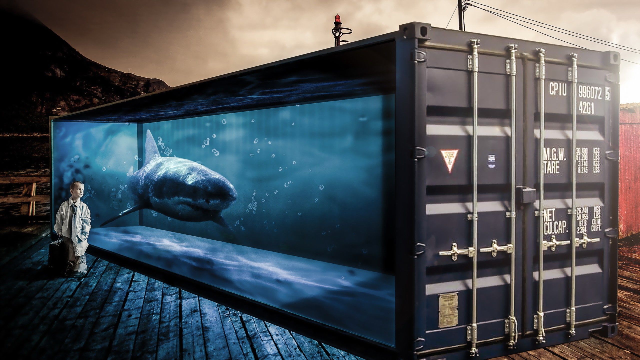 surreal, sharks, boys, 3D, containers, situation wallpaper