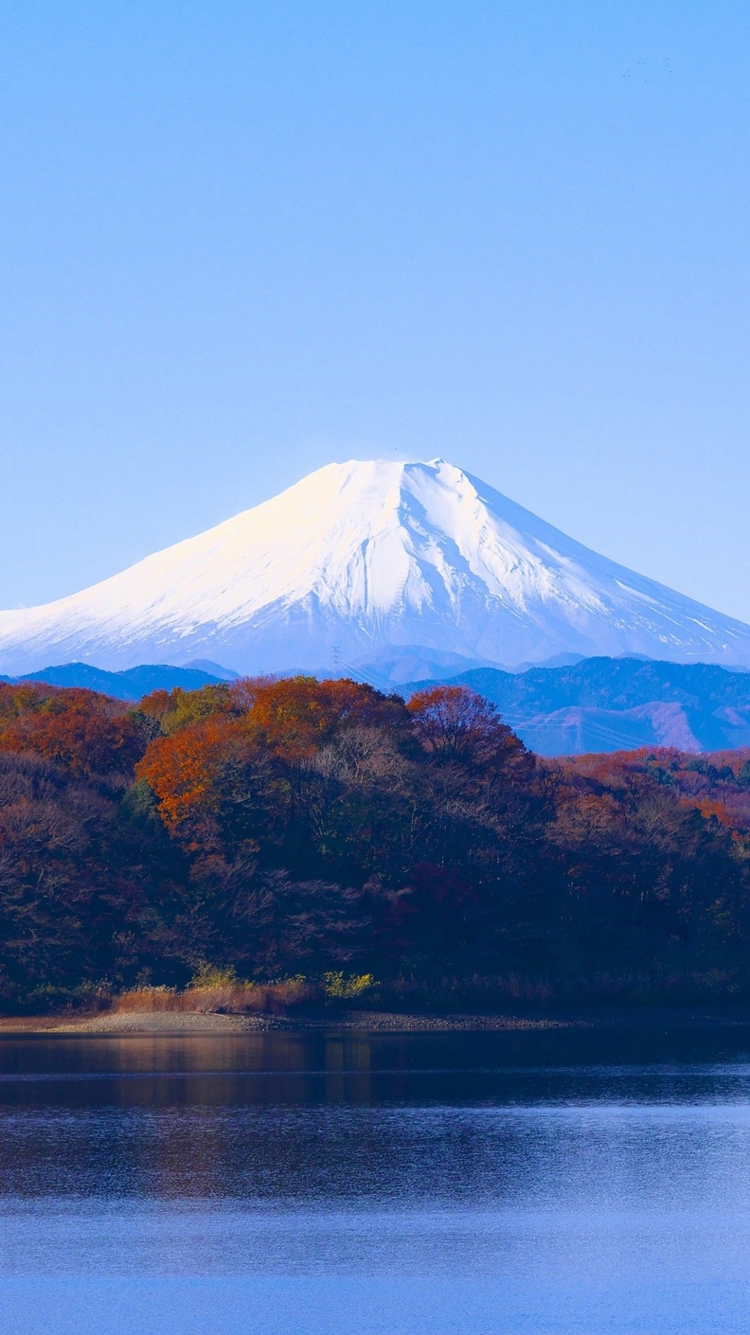 Download 1080x1920 Mount Fuji, Trees, Snow, Japan, Clean Sky