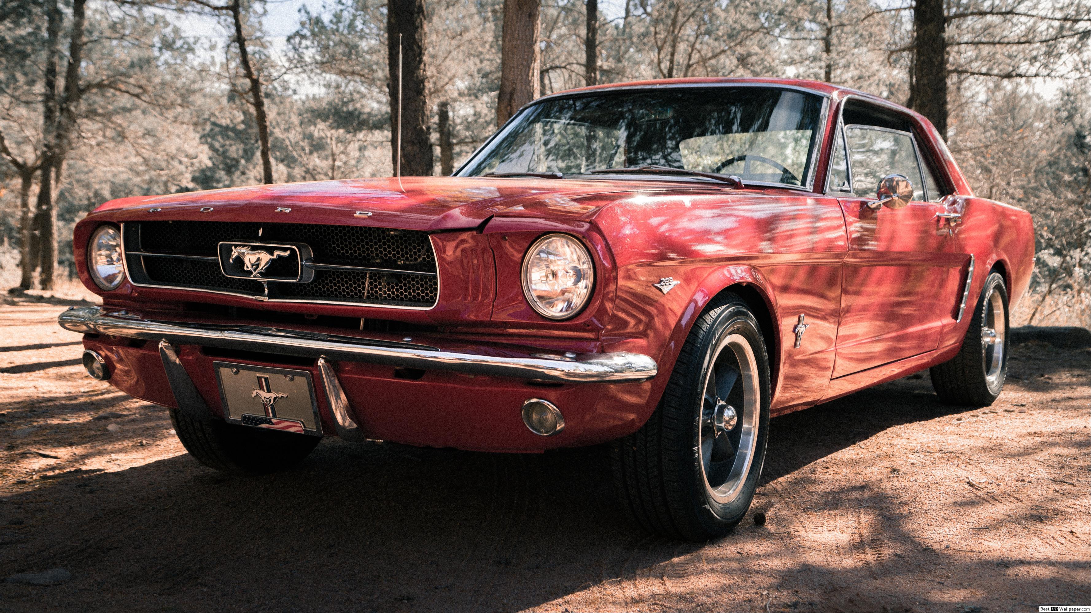 Red Ford Mustang 1967 HD wallpaper download