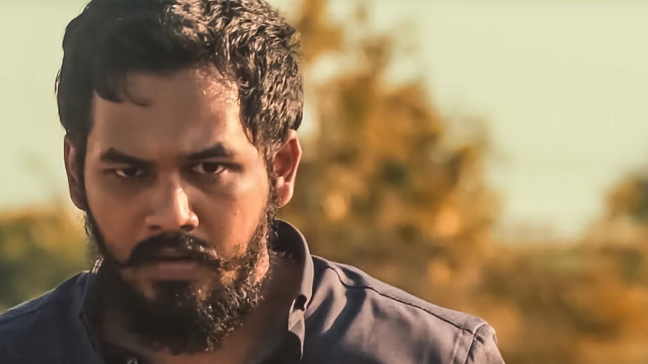 Hip hop aadhi pics of cats