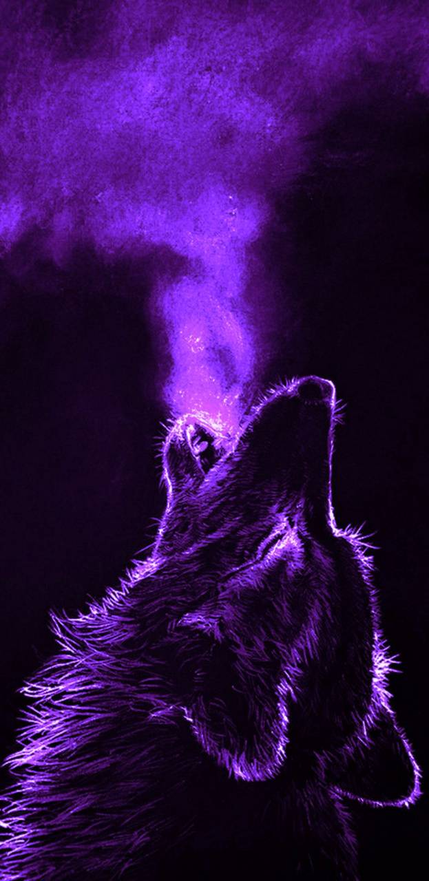 Purple Wolf Wallpaper Free Purple Wolf Background
