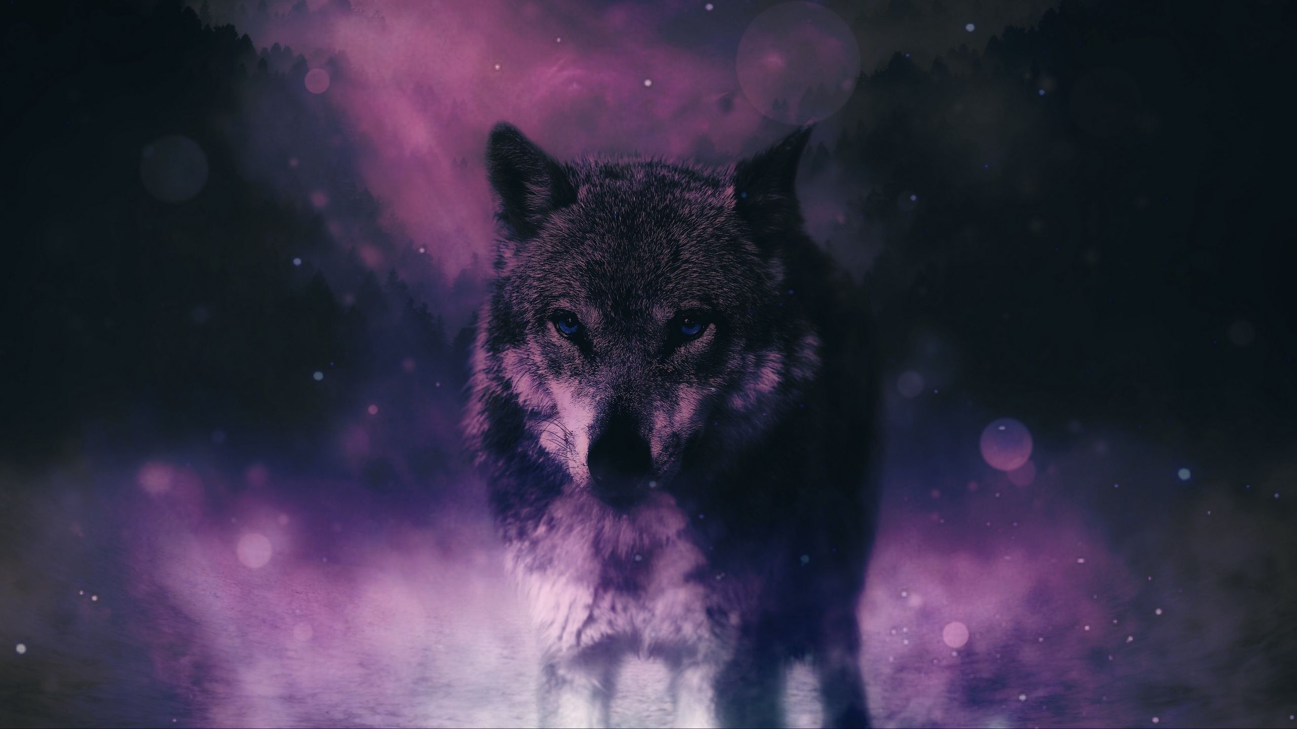 Wolf Wallpaper Purple
