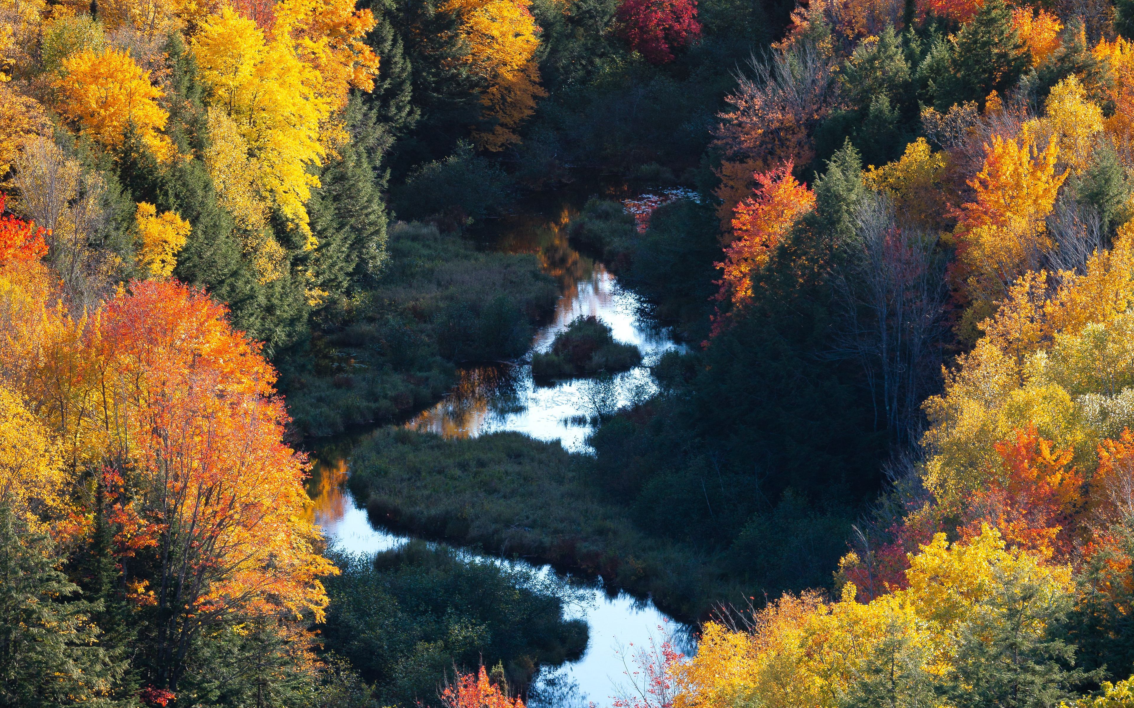 Download wallpaper 3840x2400 forest, river, aerial view, autumn
