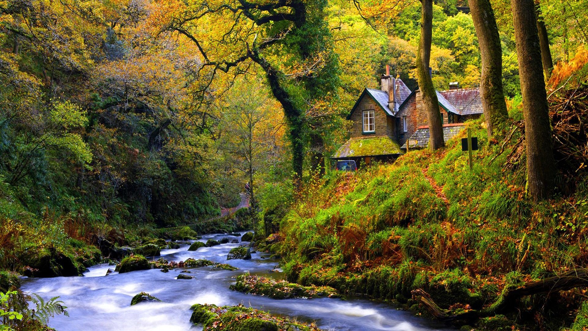 House on Forest River HD Wallpaper. Background Imagex1080