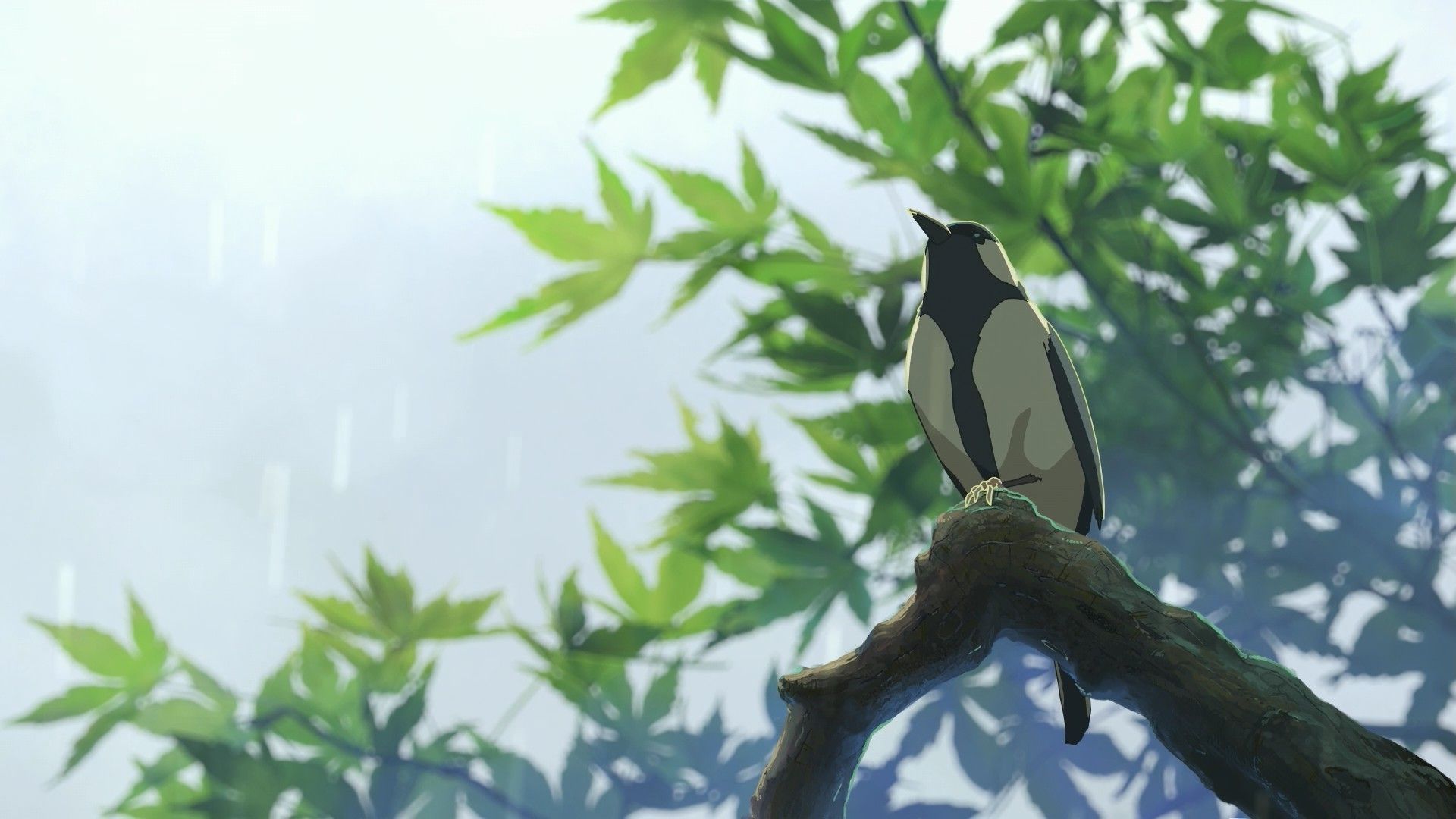 summer, Sunlight, Birds, Makoto Shinkai, Branch Wallpaper HD / Desktop and Mobile Background