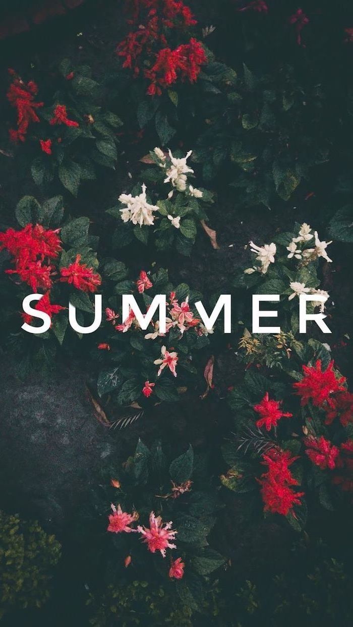 Dark Summer Wallpapers - Wallpaper Cave