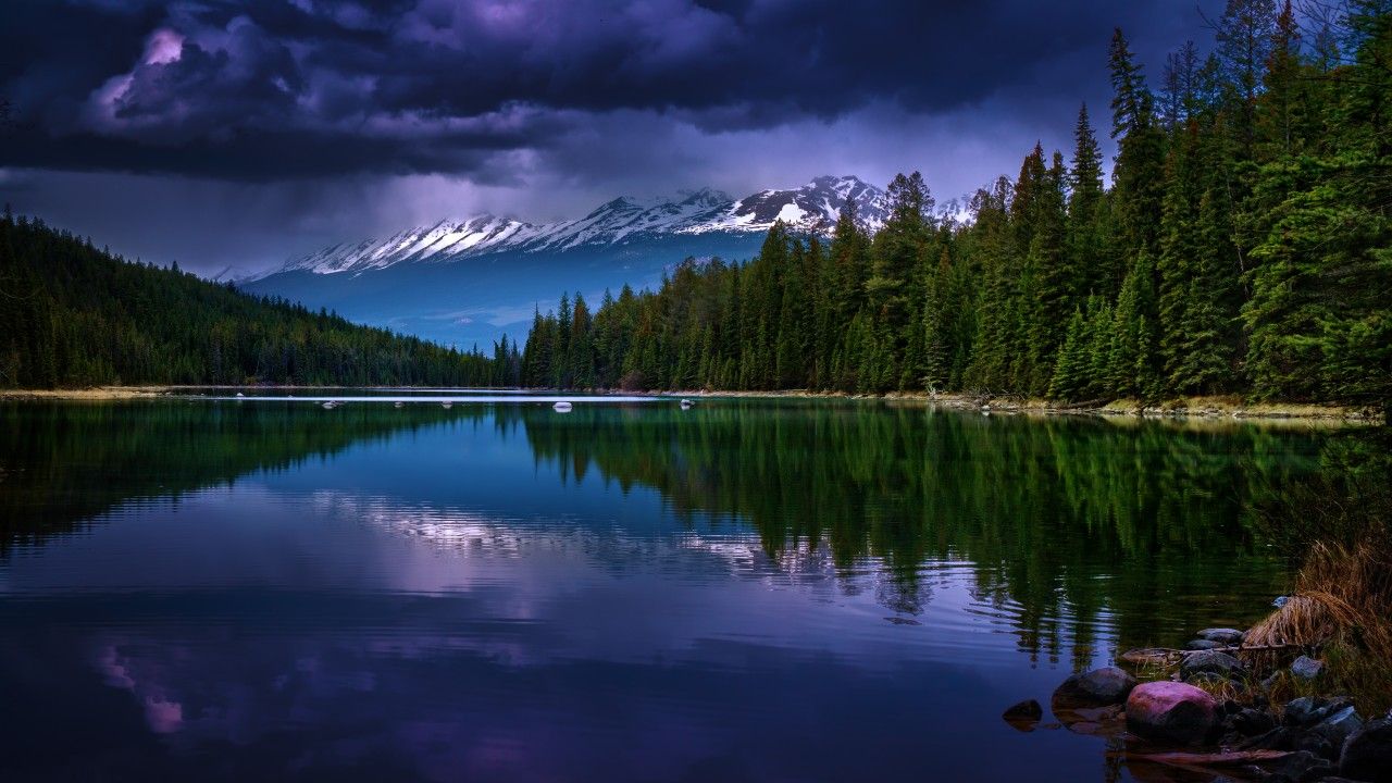 Wallpaper Mountains, 5k, 4k wallpaper, river, pines, trees, clouds