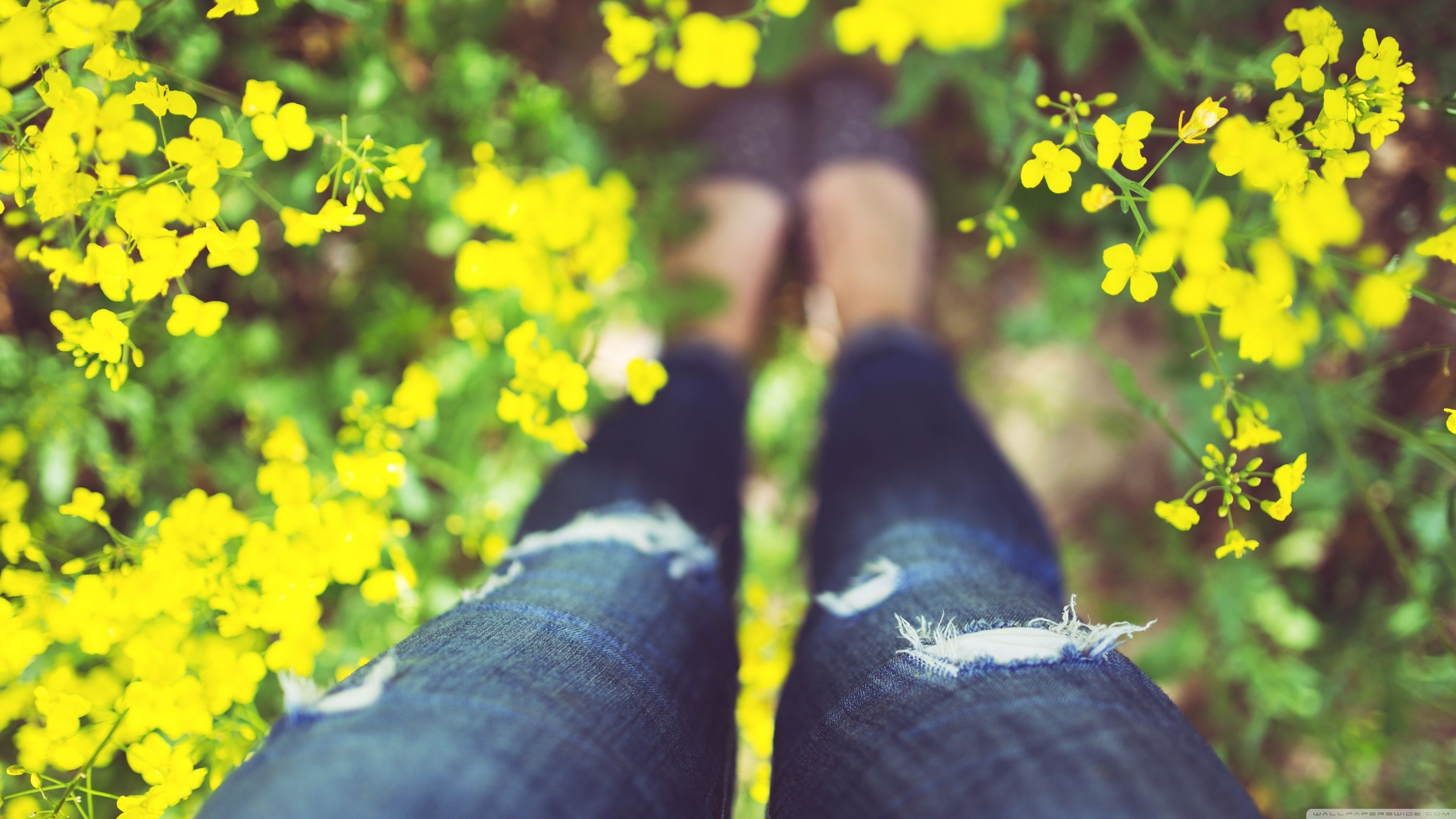 Legs Ultra HD Desktop Background Wallpaper for 4K UHD TV