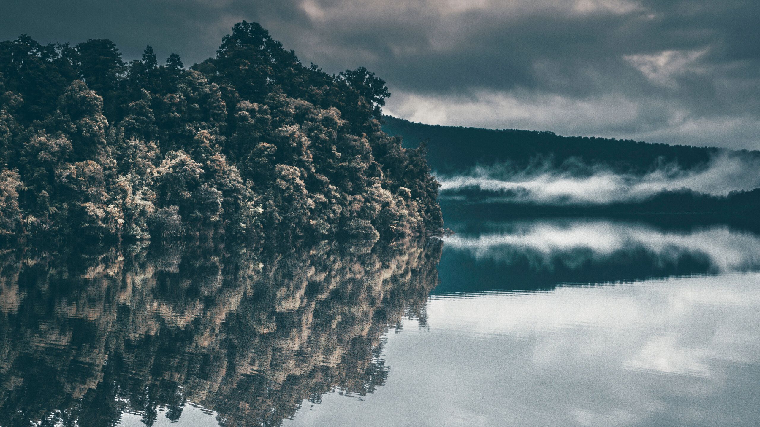 Trees River Fog Forest 5k 1440P Resolution HD 4k