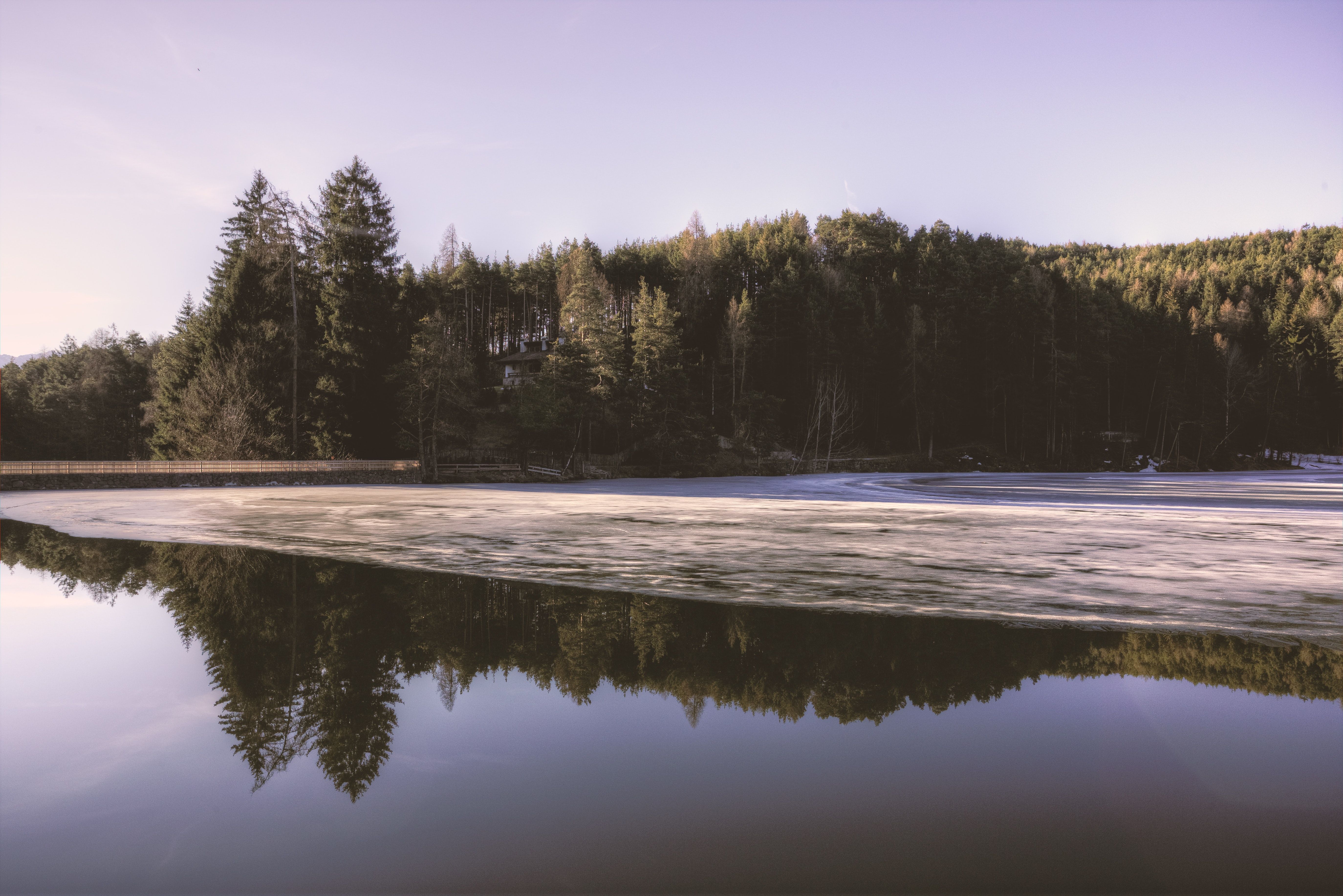 Free photo: Green Trees Near River Wallpaper, Nature