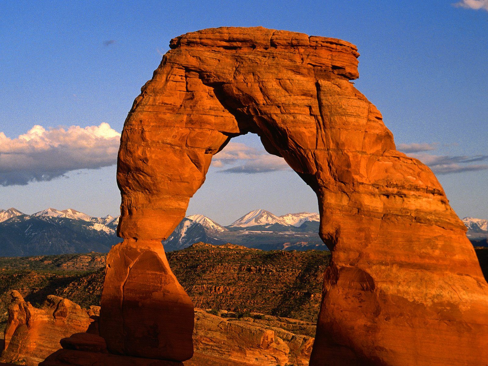 Delicate Arch Arches National Park Utah picture, Delicate Arch