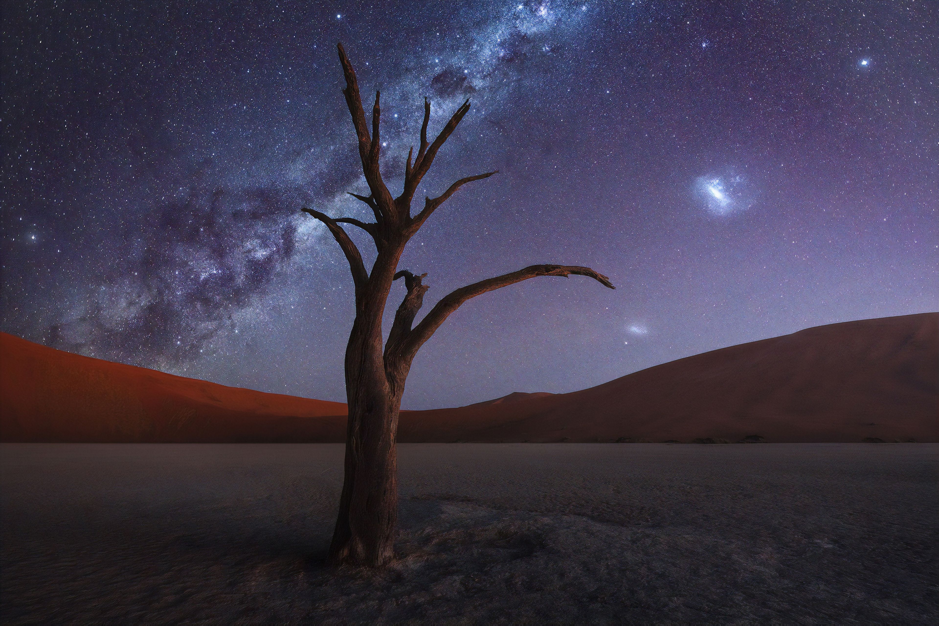 Tree Desert Milky Way 4k, HD Nature, 4k Wallpaper, Image, Background, Photo and Picture