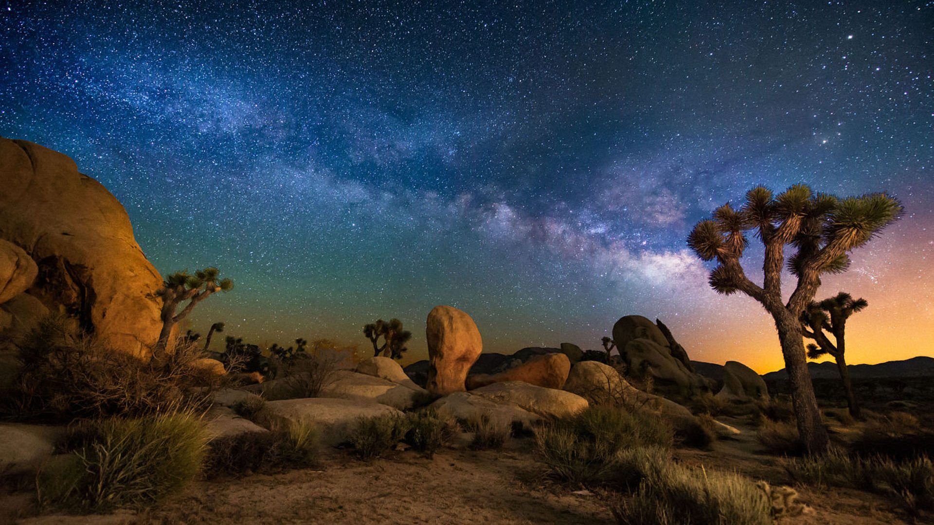 Starry Sky Desert Area Night In Joshua Tree National Park California Usa HD Wallpaper For Deskx1200, Wallpaper13.com