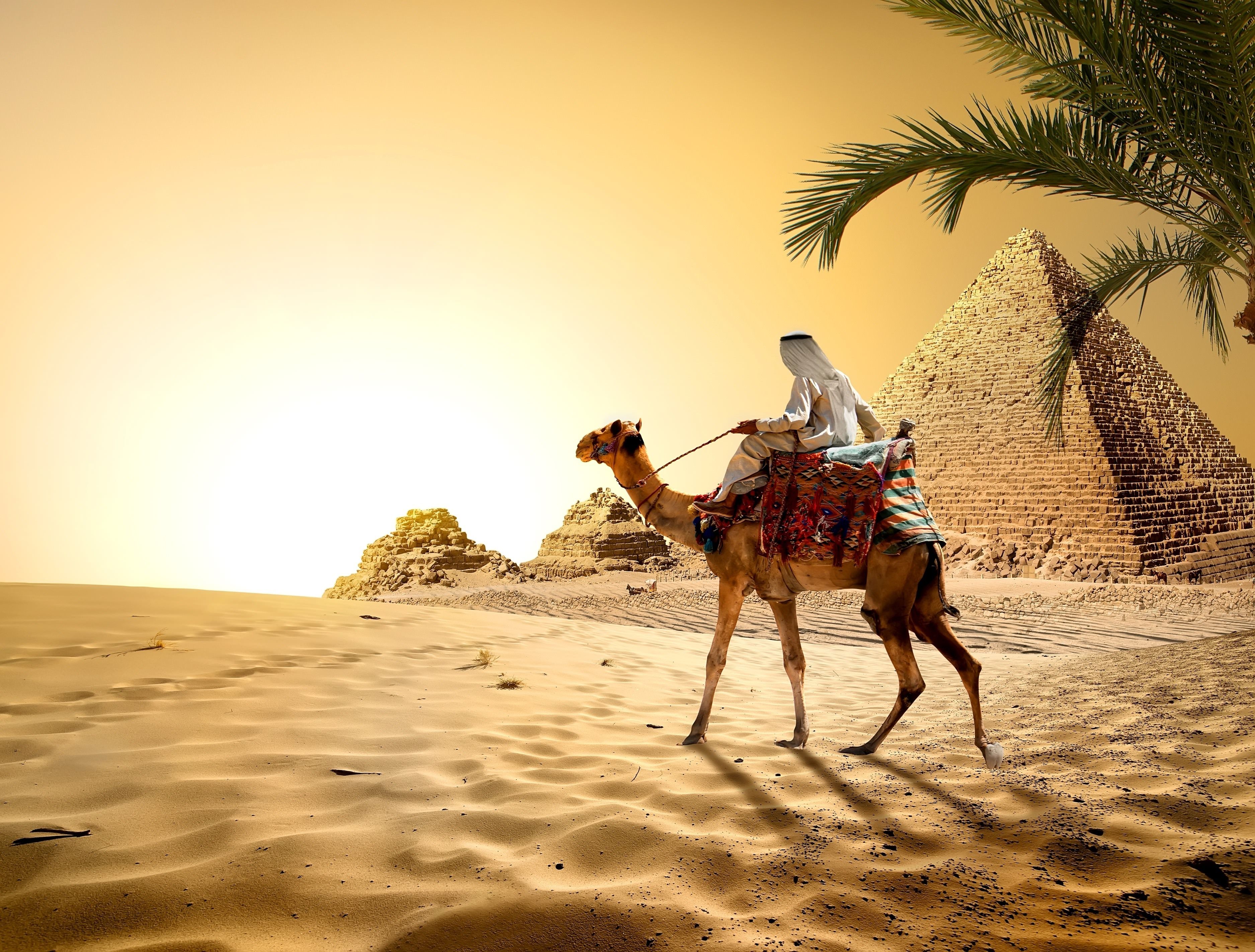 Orange Sky, Cairo, Palm Tree, Sand, Heat, Desert, Egypt, In Desert Wallpaper & Background Download