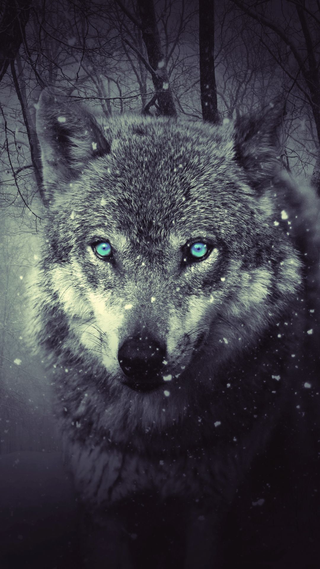 iPhone 7 Free Wolf Wallpaper