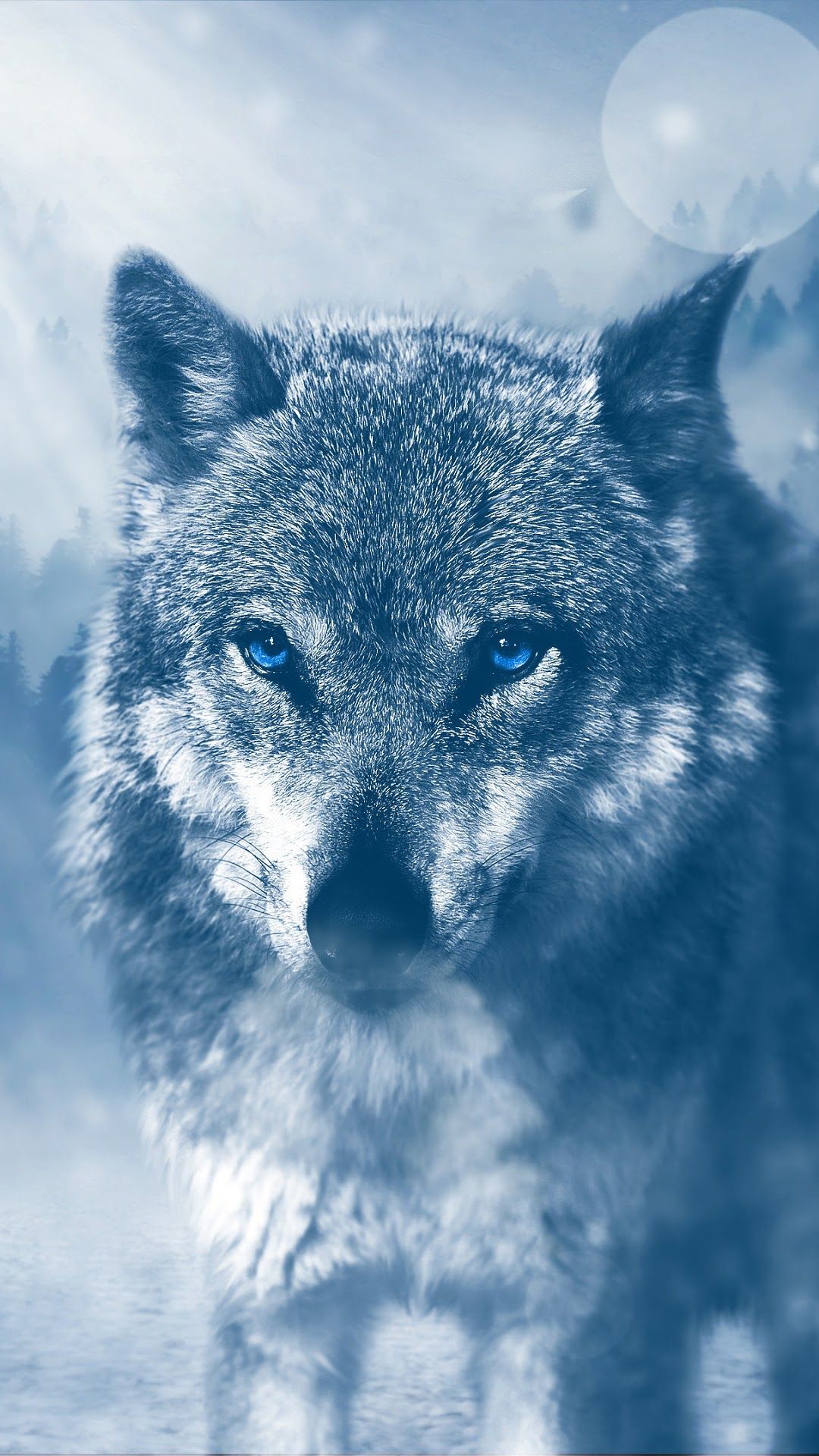 Wolf iPhone 6s, 6 HD Wallpaper, Image, Background