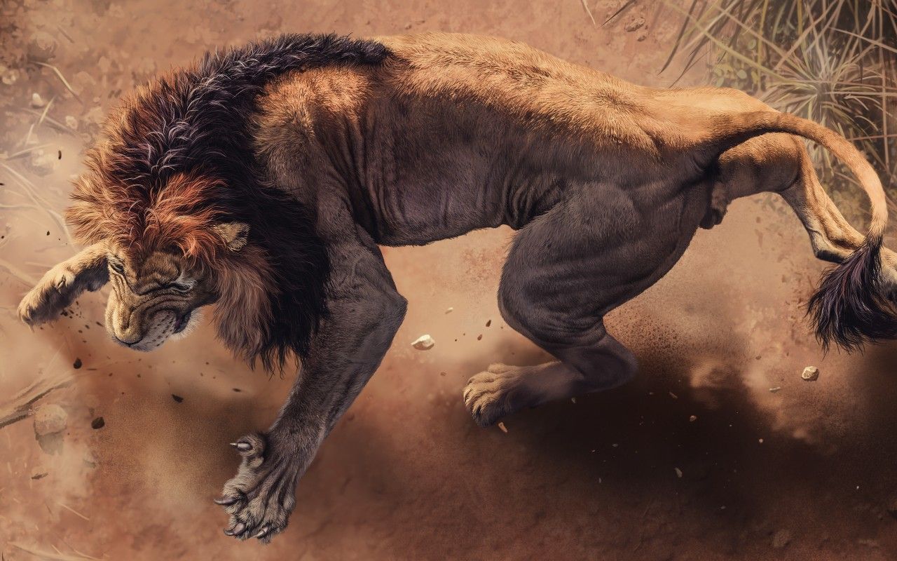 Wallpaper African Lion, Wild animals, 4K, Animals / Editor's Picks,. Wallpaper for iPhone, Android, Mobile and Desktop