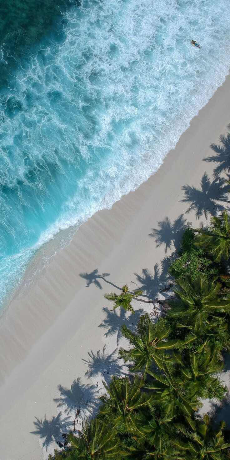 iPhone and Android Wallpaper: Tropical Shoreline Wallpaper