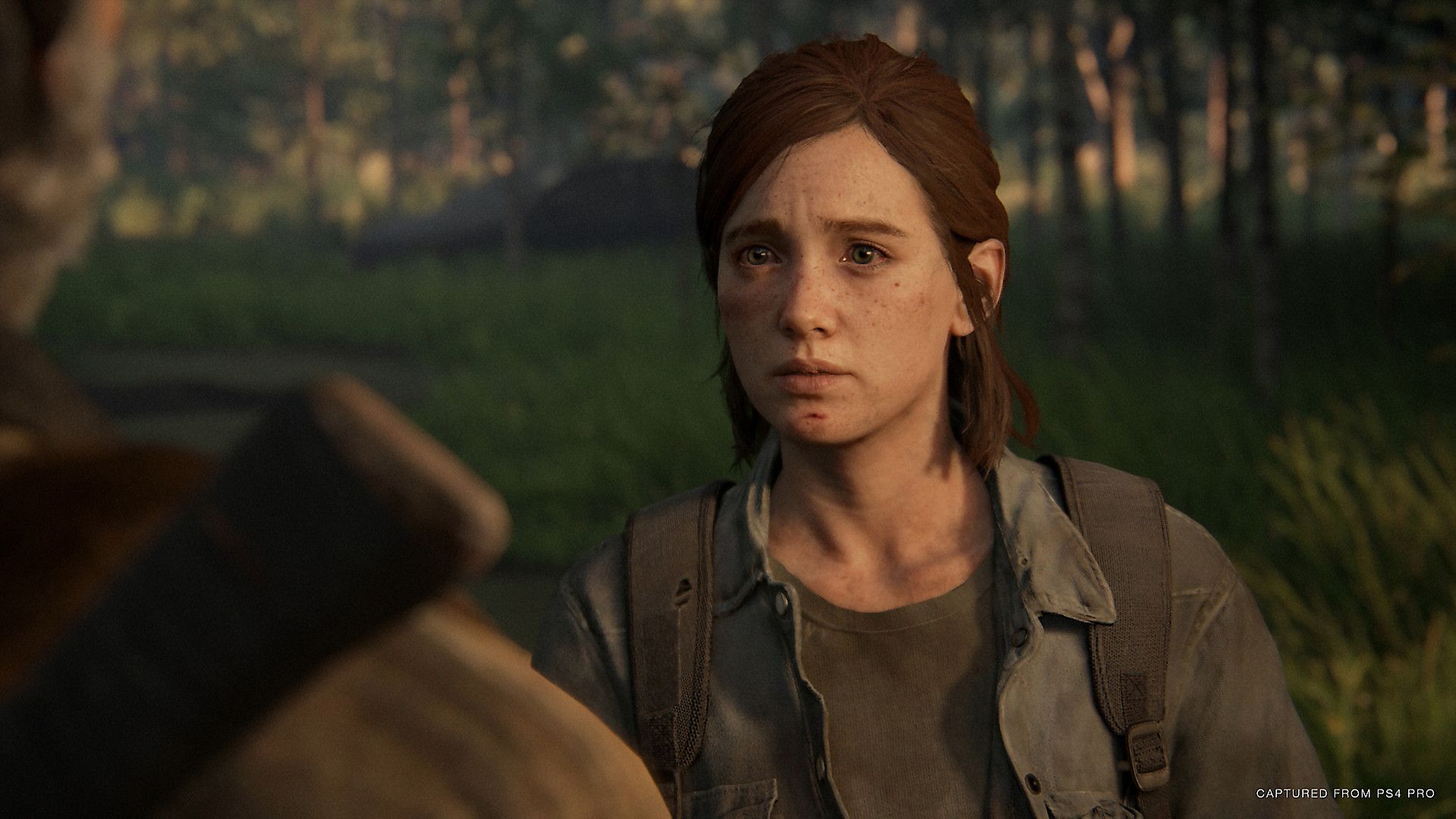 New The Last of Us Part 2 Screenshots Follow its Indefinite Delay