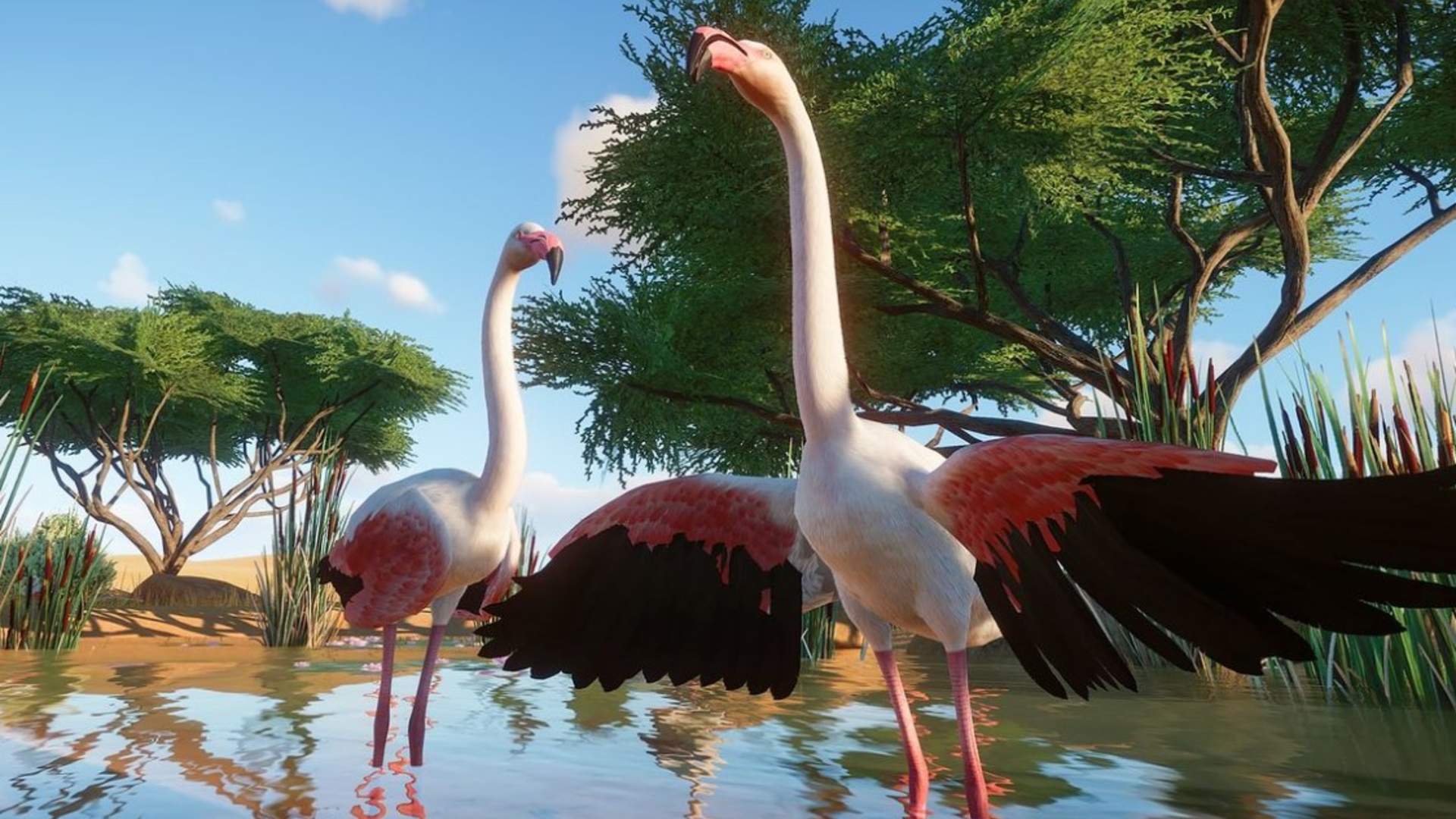 Planet Zoo: Is It Coming to Xbox One?