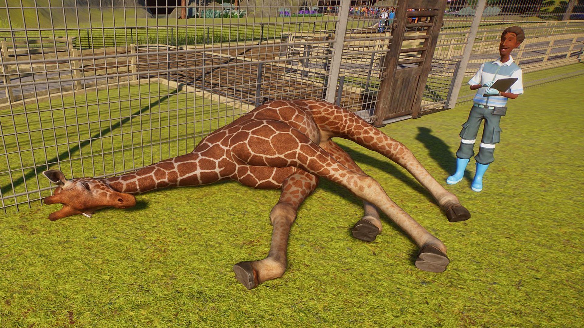 Planet Zoo Update 1.2.3 Released, Improvements and Bug Fixes