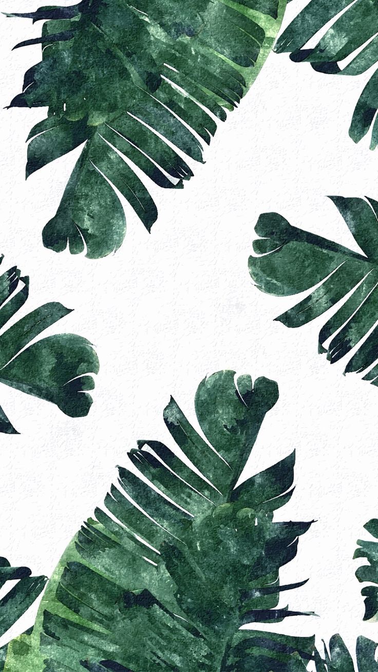 Tropical leaves iPhone wallpaper iPhone X Wallpaper