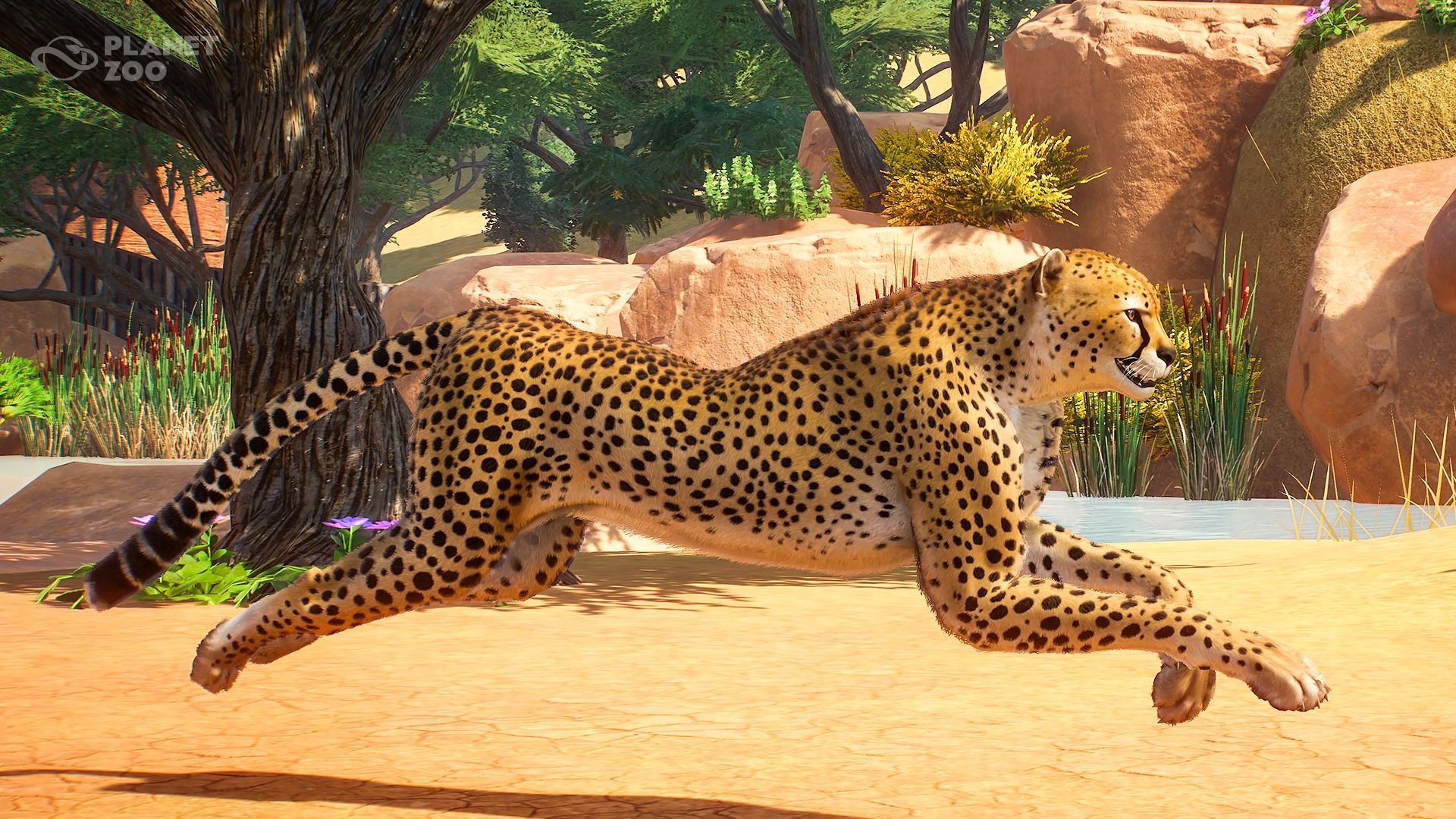 Planet Zoo Update 1.1.2 Is Live, Various Bug Fixes