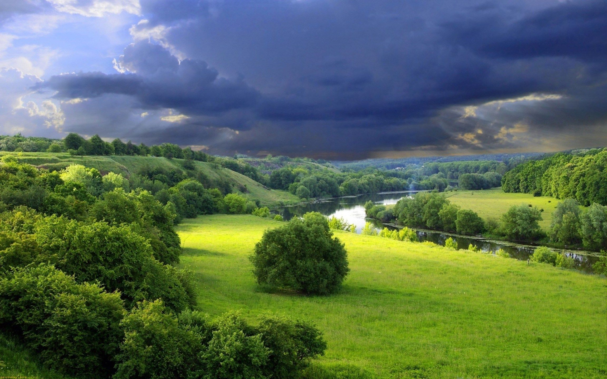 Meadow Desktop Wallpapers Wallpaper Cave