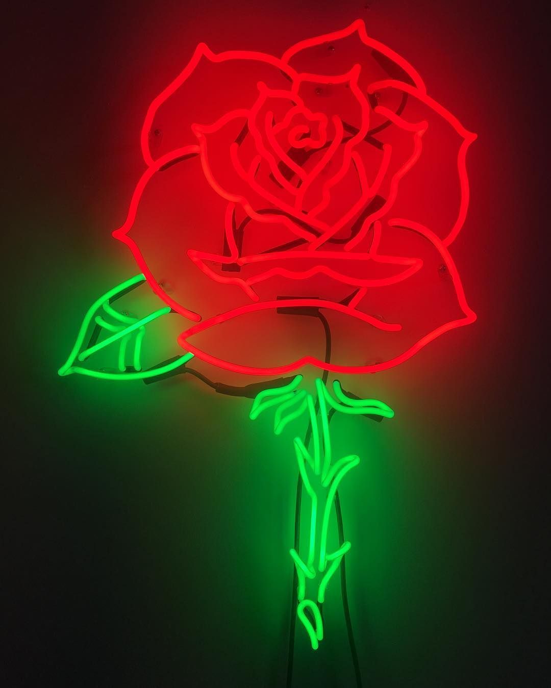 Aesthetic Neon Light Rose Wallpaper