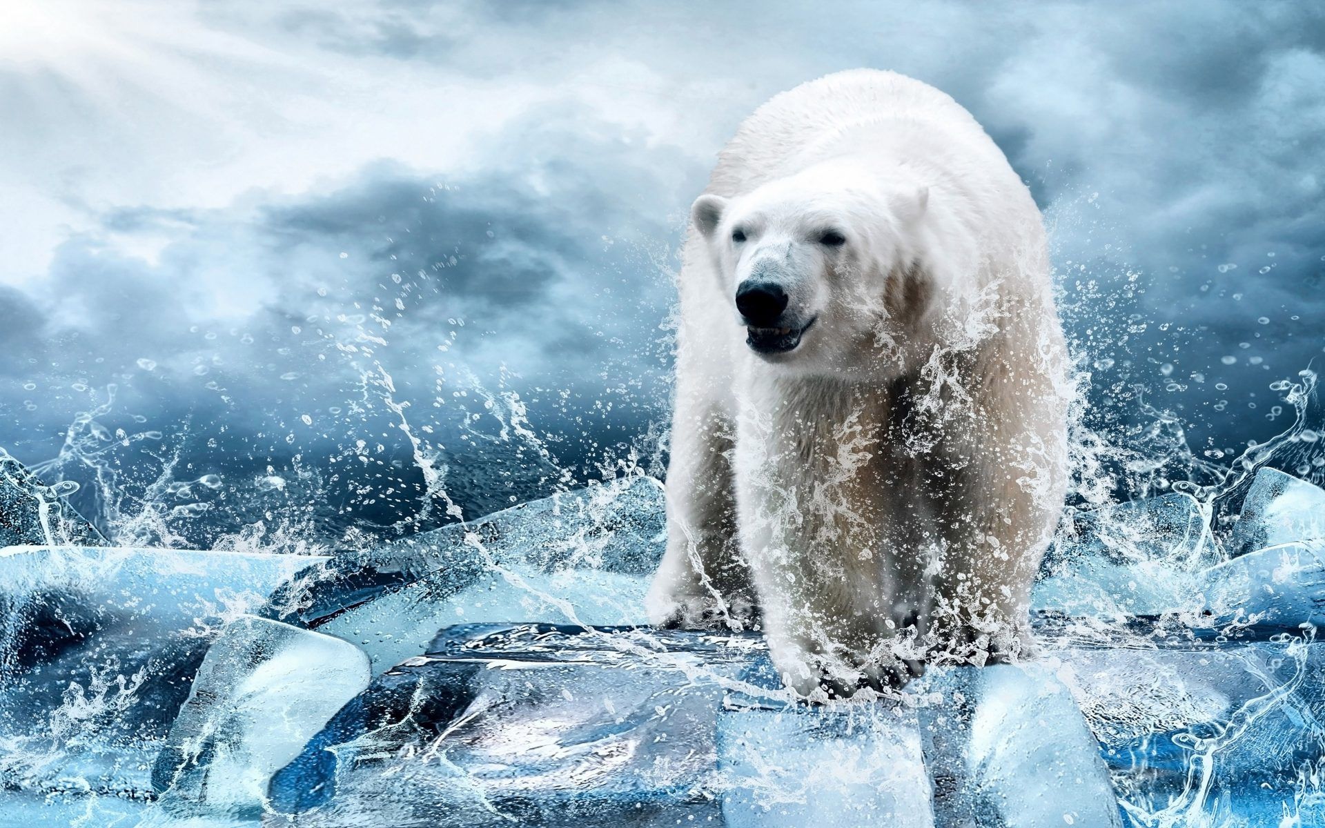 Polar Bear Spirit Animal Wallpaper & Background