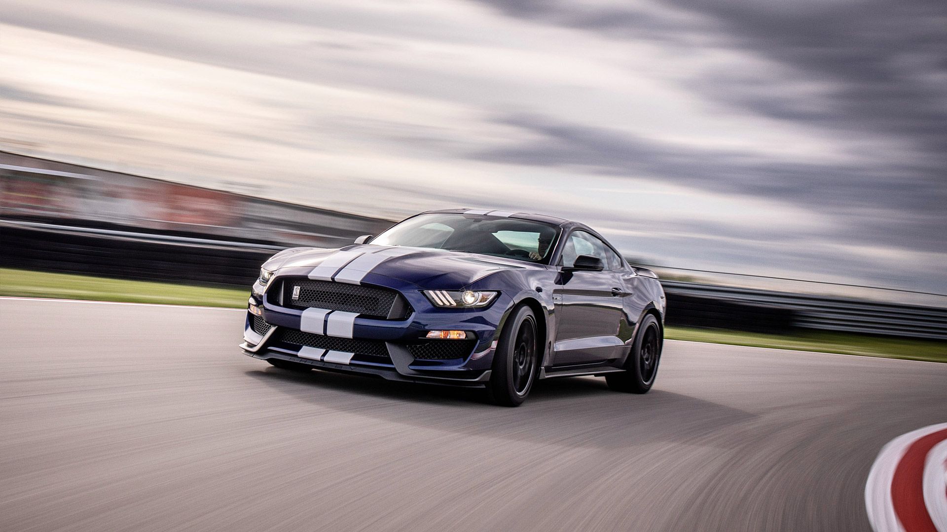 Ford Shelby Mustang Gt350 Picture Mustang Shelby 2019